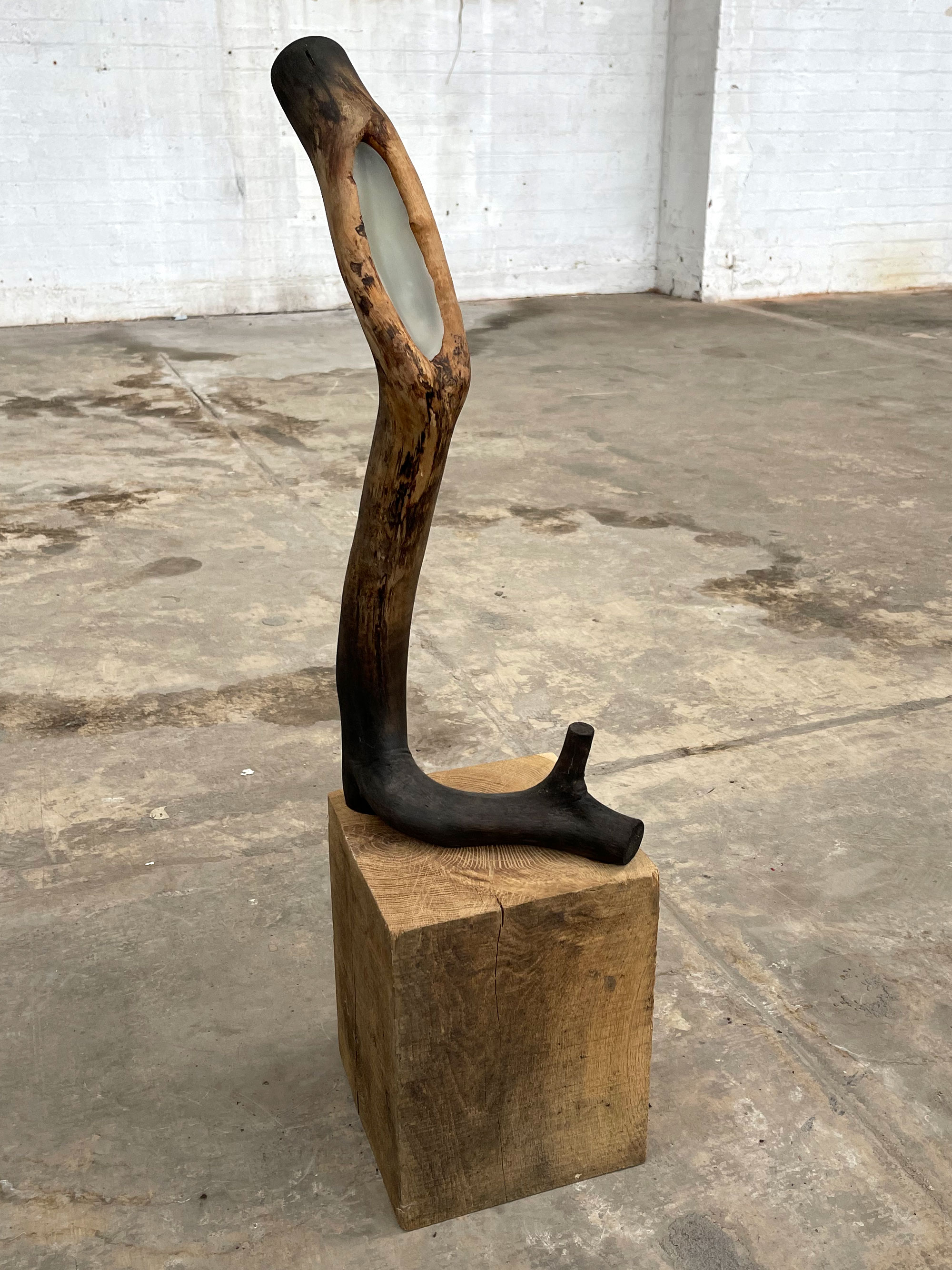 Branch, wood, wax, 82 x 22 x 25 cm