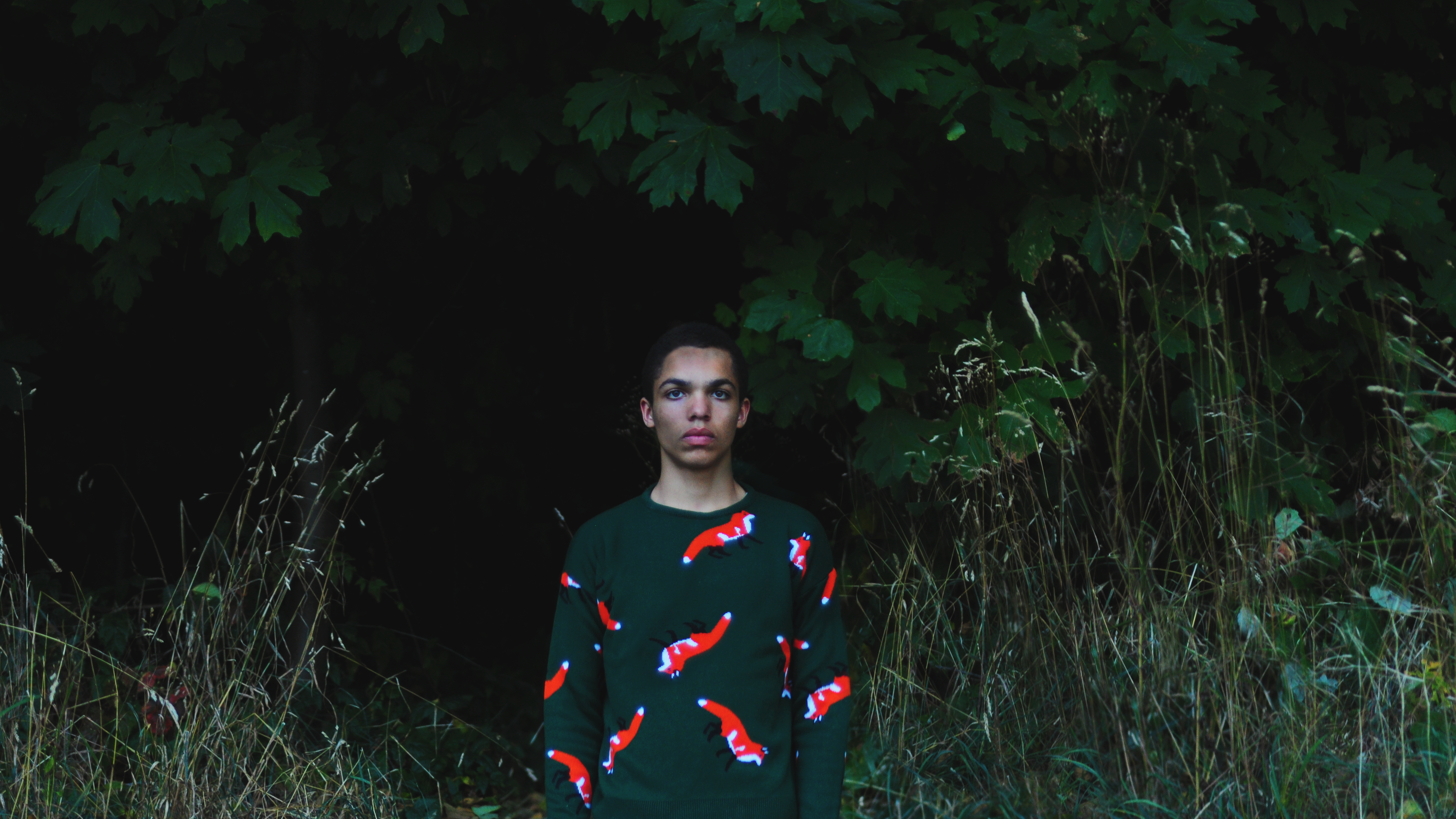 [newcastle island] act iv. boy of prey (David)