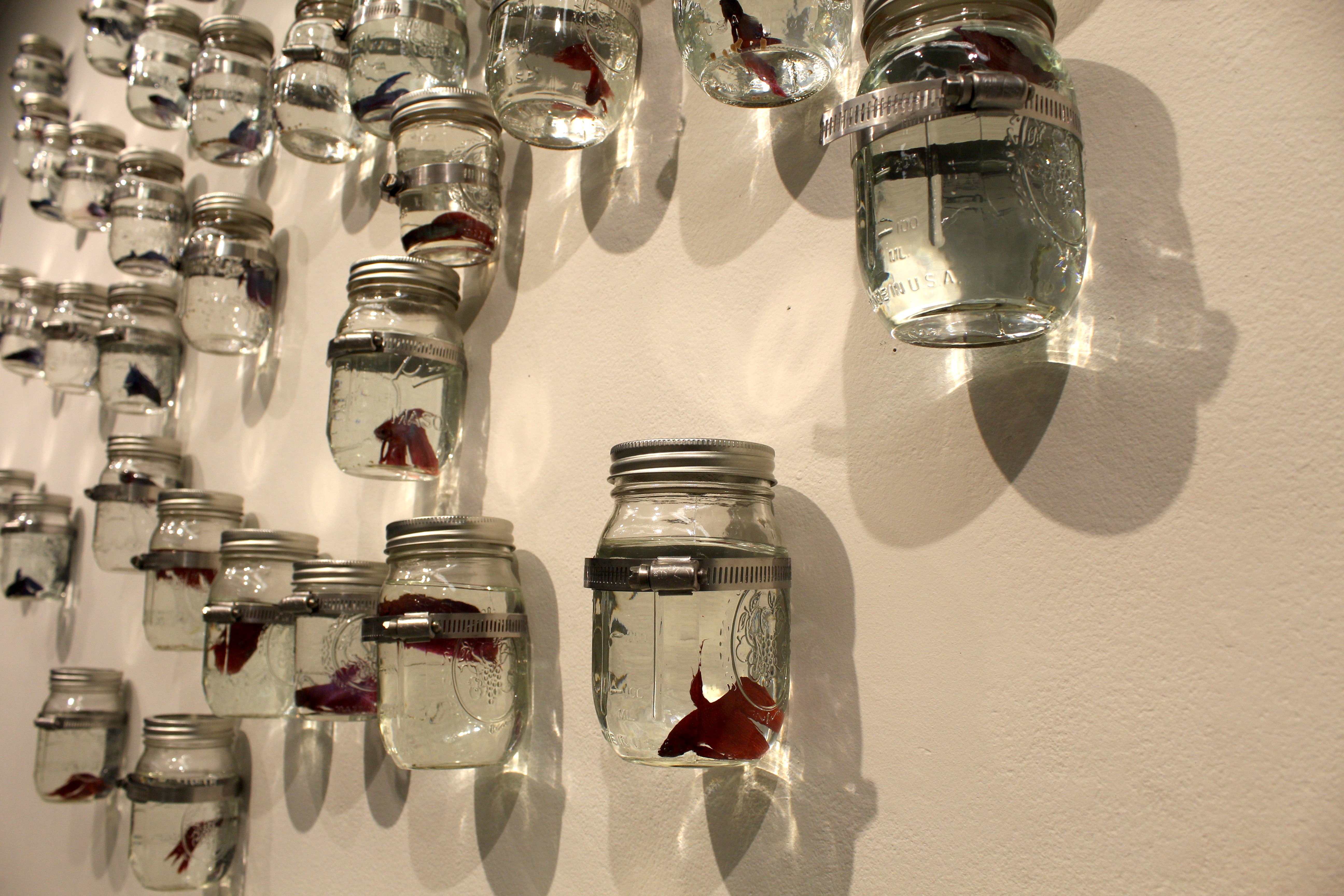 This Is Mutual |2018|