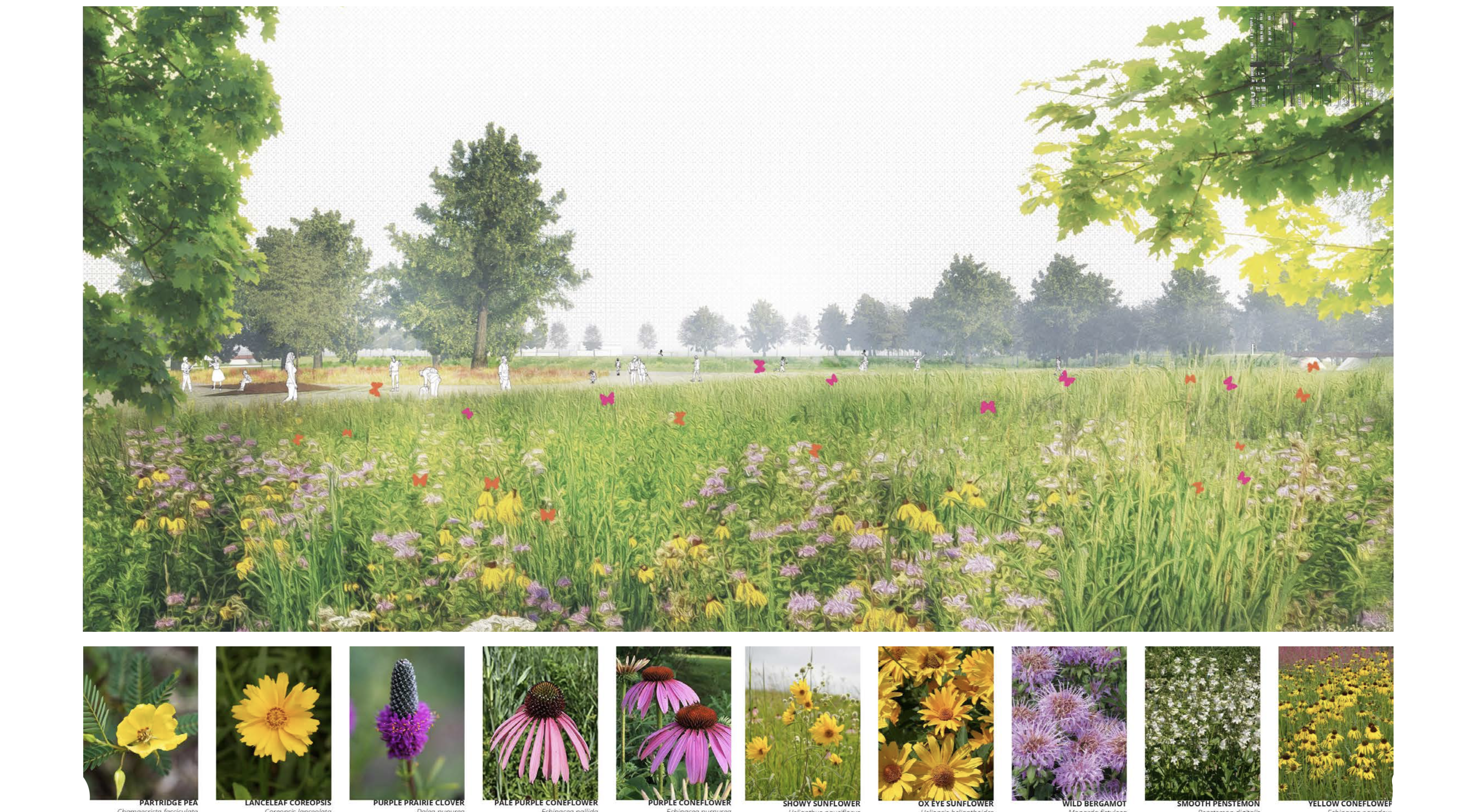 Prairie, Alexis Arias Betancourt, Spring 2020