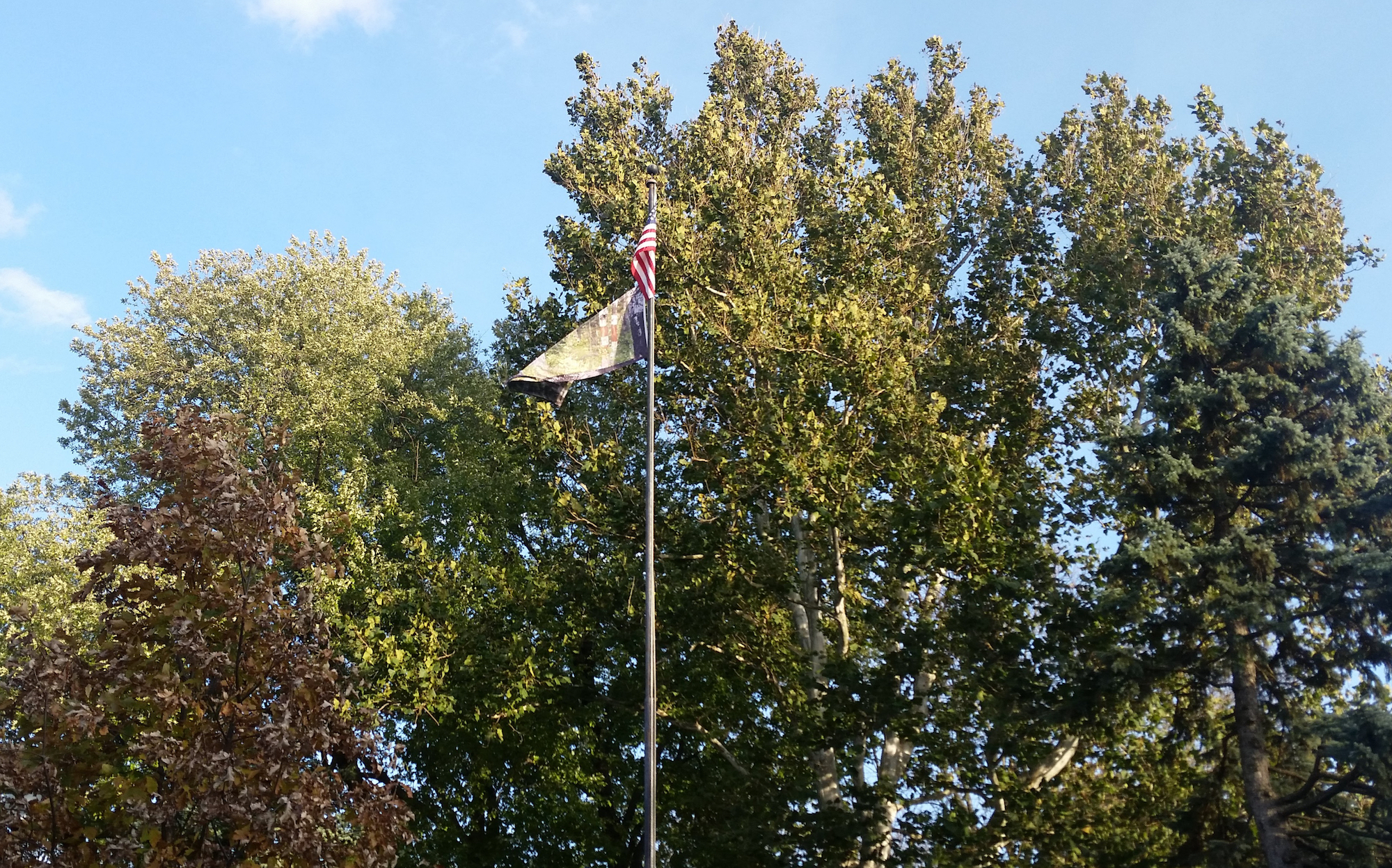 Flag by Nora Moore Lloyd at Indian Boundary Park, 2500 West Lunt Avenue