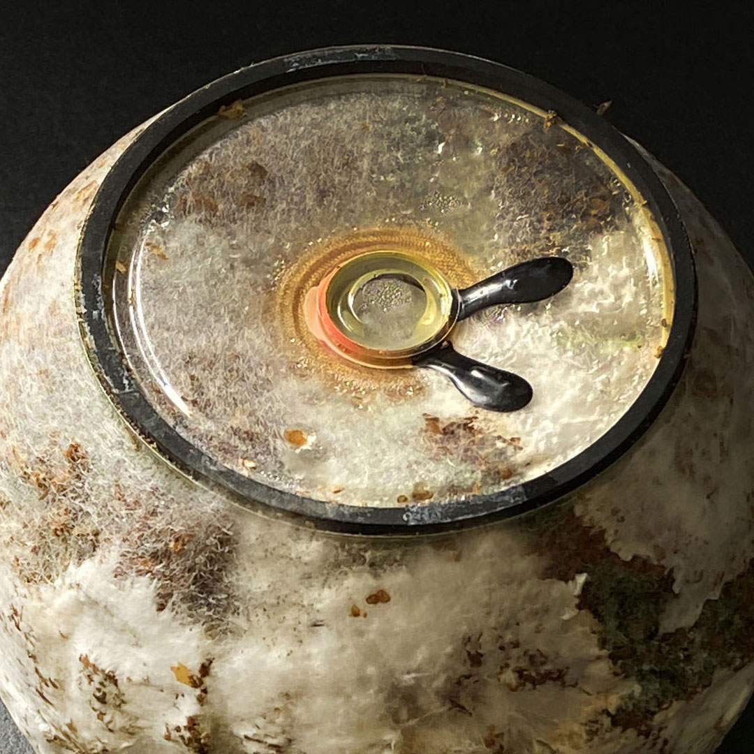 The Art of Microbe Maintenance