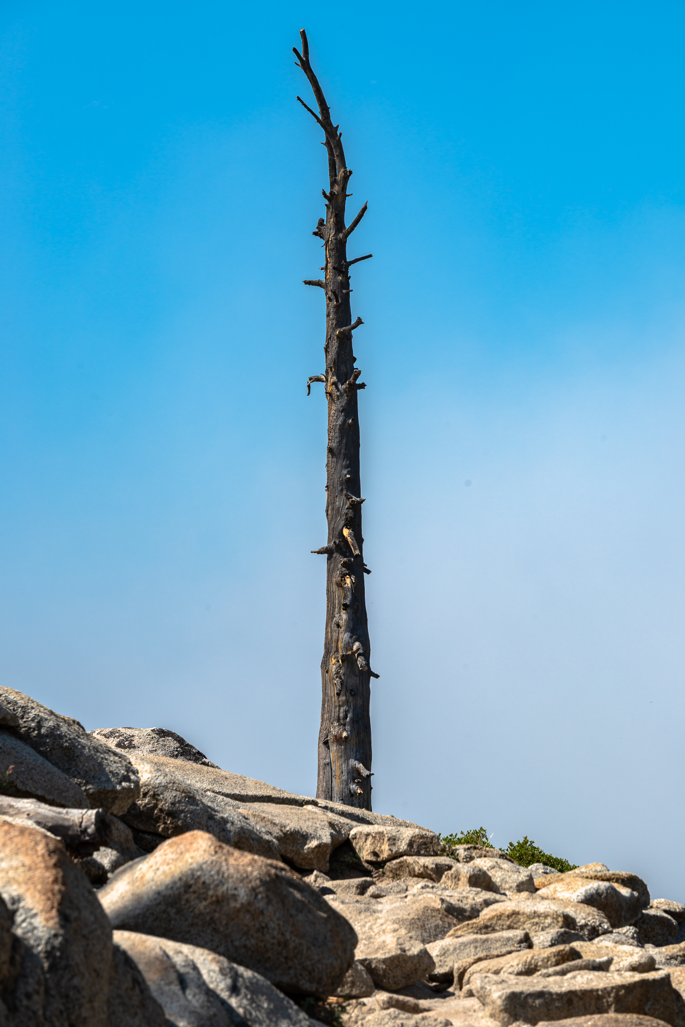 Le parc national de Yosemite, Sierra Nevada, à l'est de l'État de Californie.