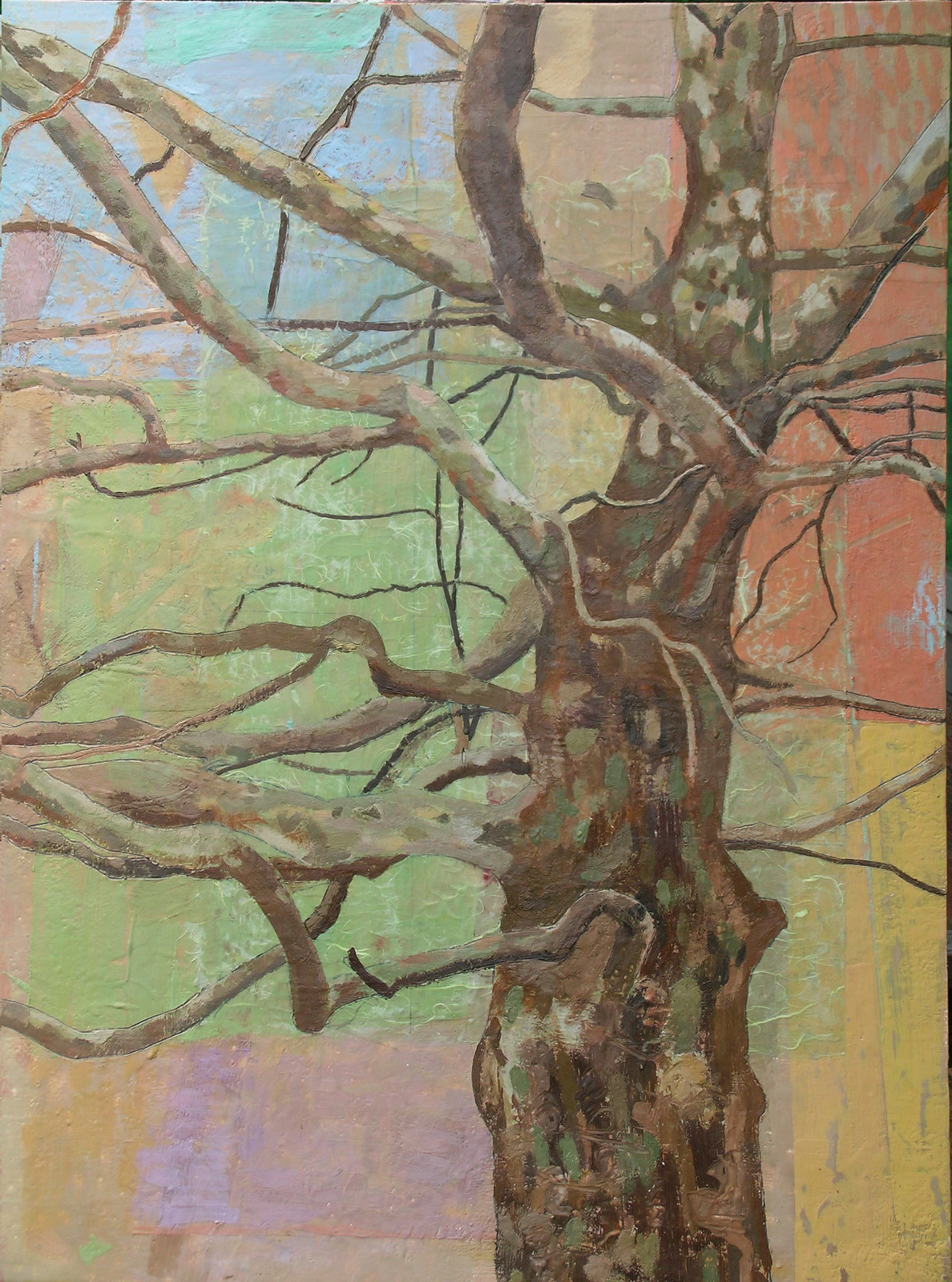 Elmwood Sycamore #2. 2008. encaustic, graphite & collage on panel. 42" X 32"