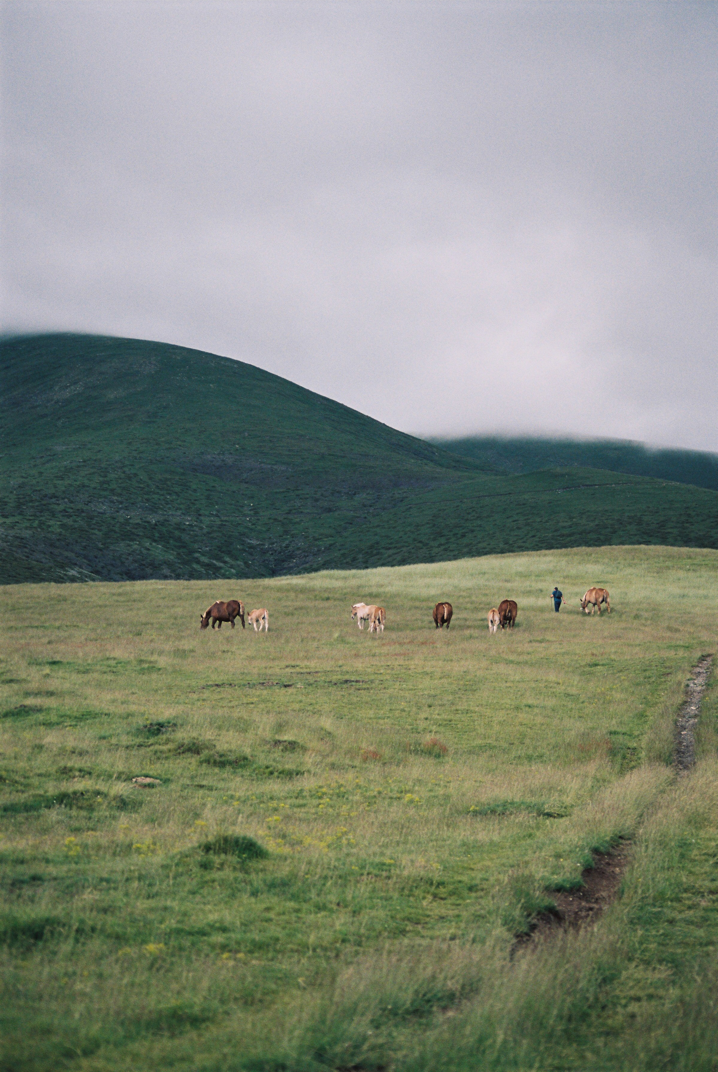 Story for Eldoradoexperience 