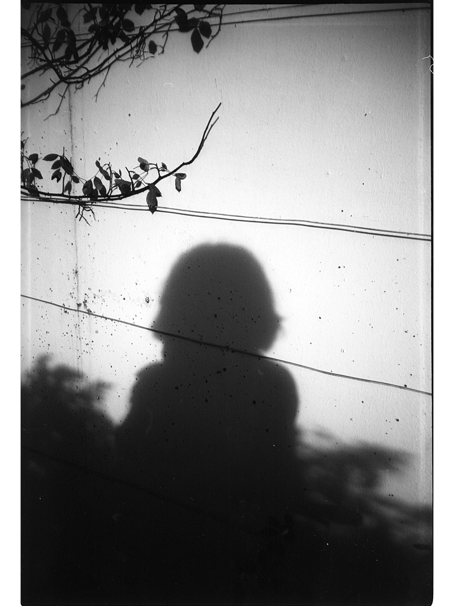 C’est moi qui éteins les lumières - Zoyâ Pirzâd