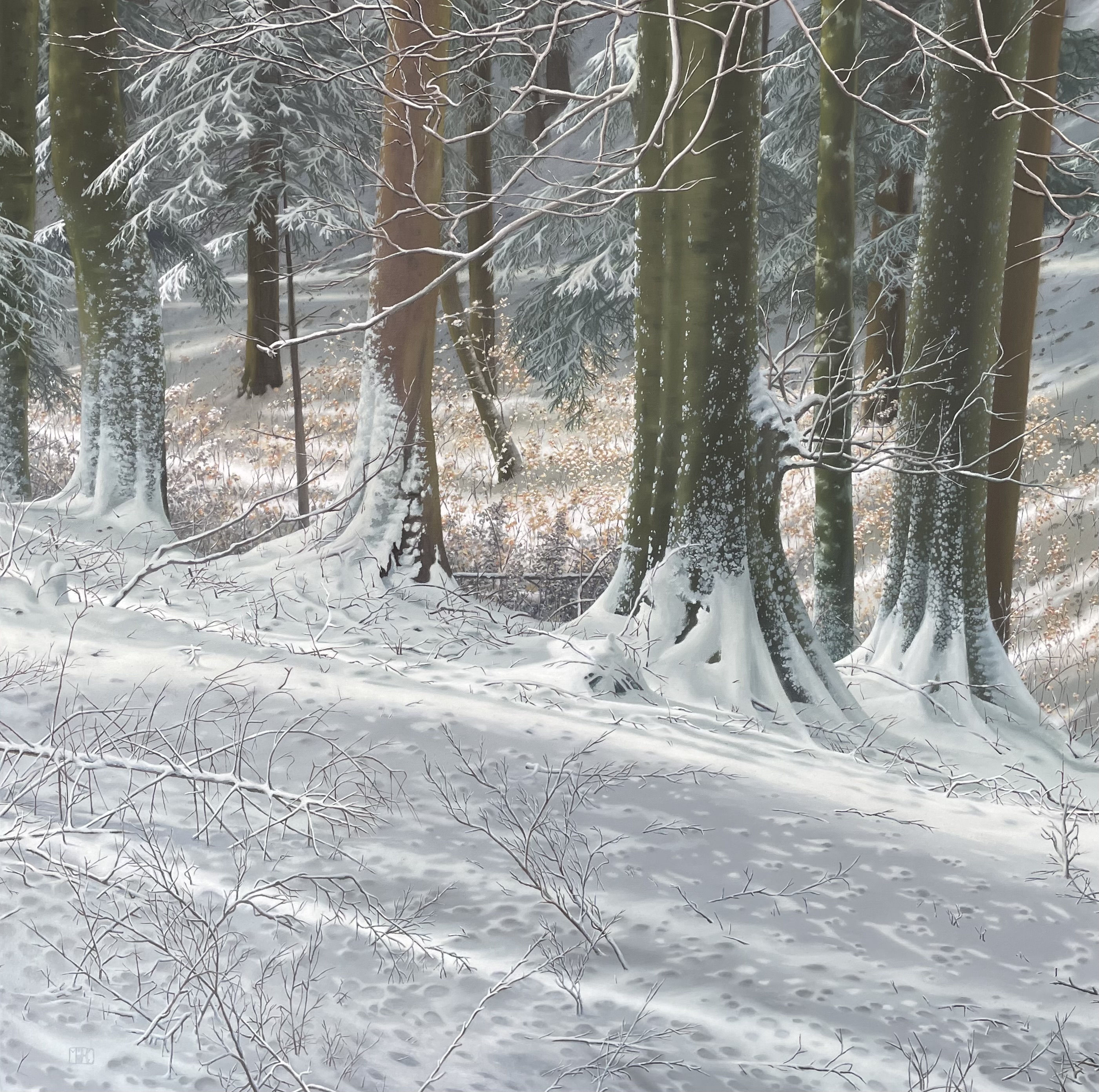 603–Tannehuswald100x100 cmAcryl / Öl auf Leinwand2023︎ Bild kaufen