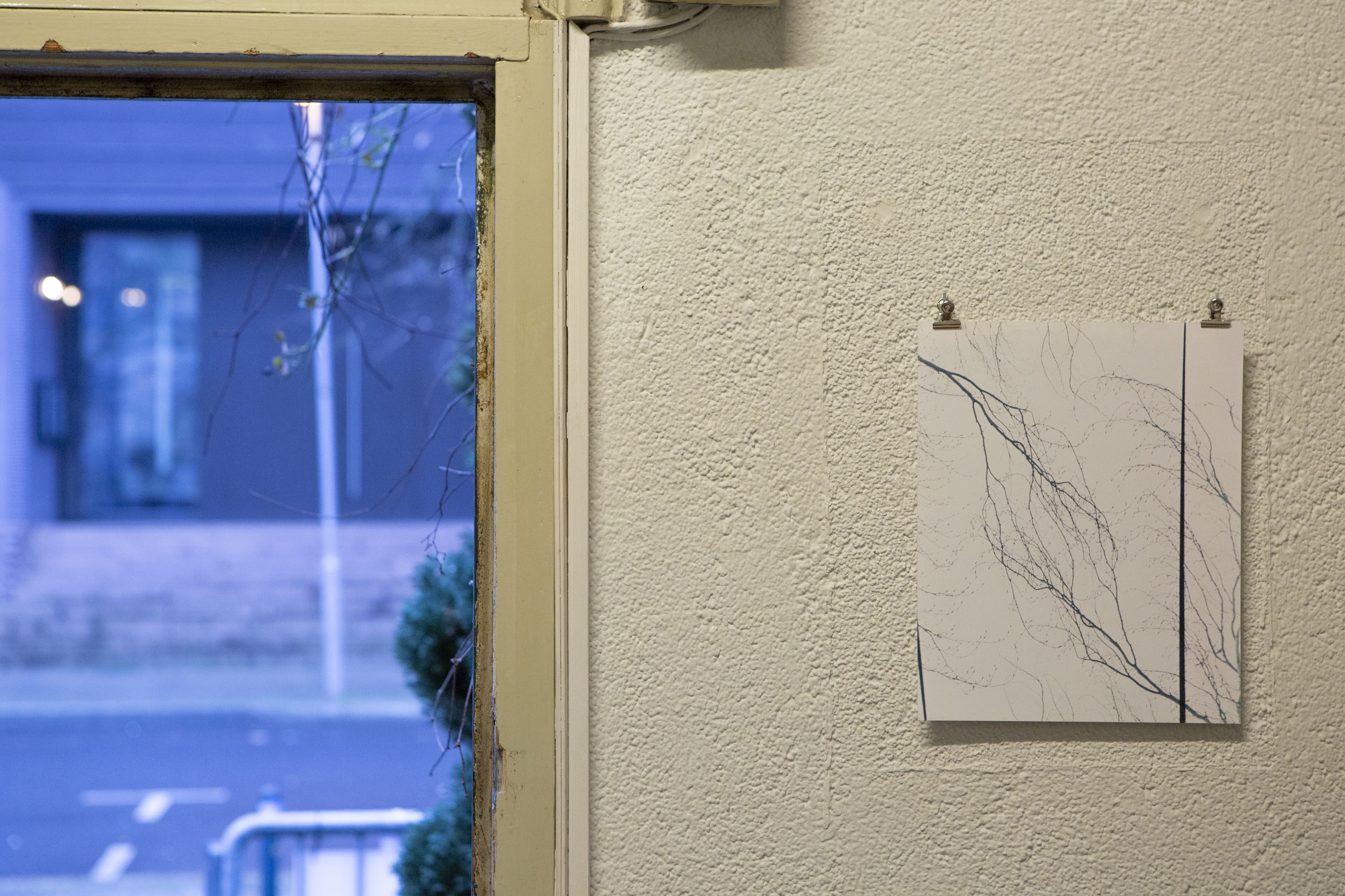 Eva-Fiore Kovakosky &ndash; Astwerke, 2016 &ndash; 2017, Image: Juan Saez, B&auml;renzwinger Berlin (2023)