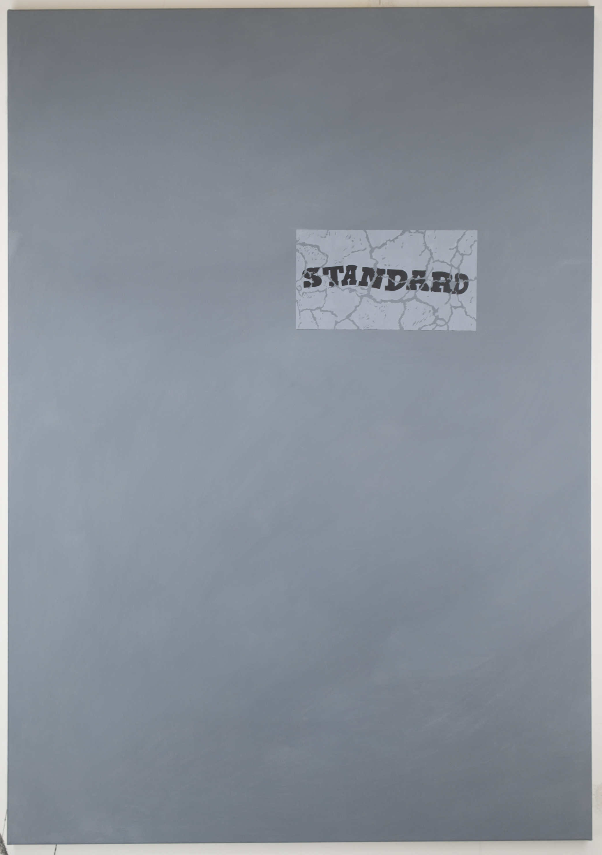Standard. Acrylic on polystercanvas. 70x100cm. 2019