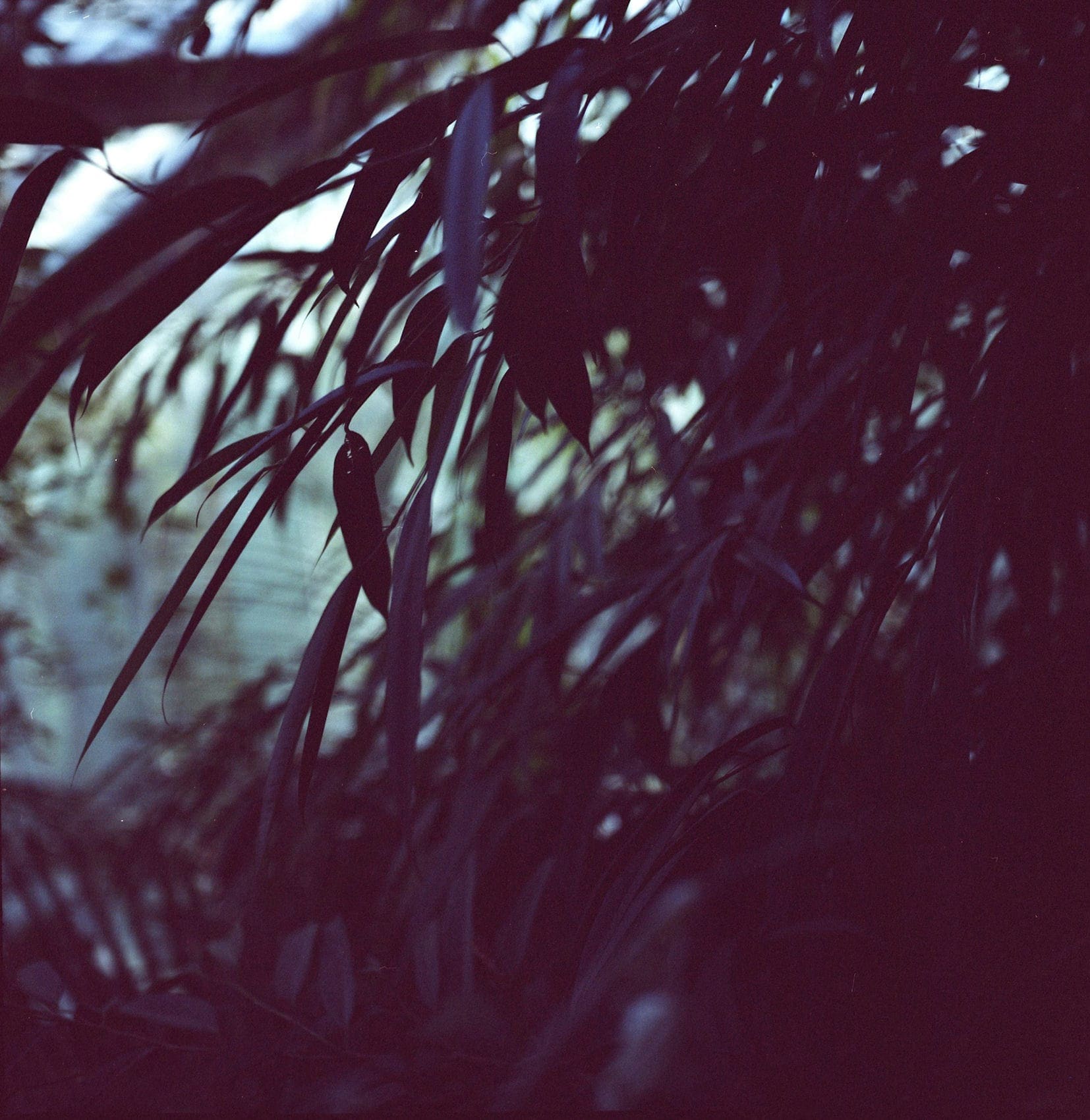 transience #01 with Lou Drago and Ichinen