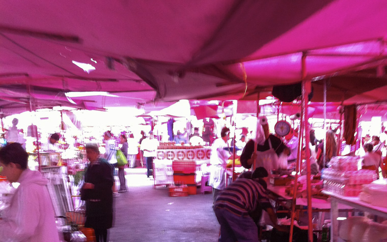 pachuca tianguis // roma norte