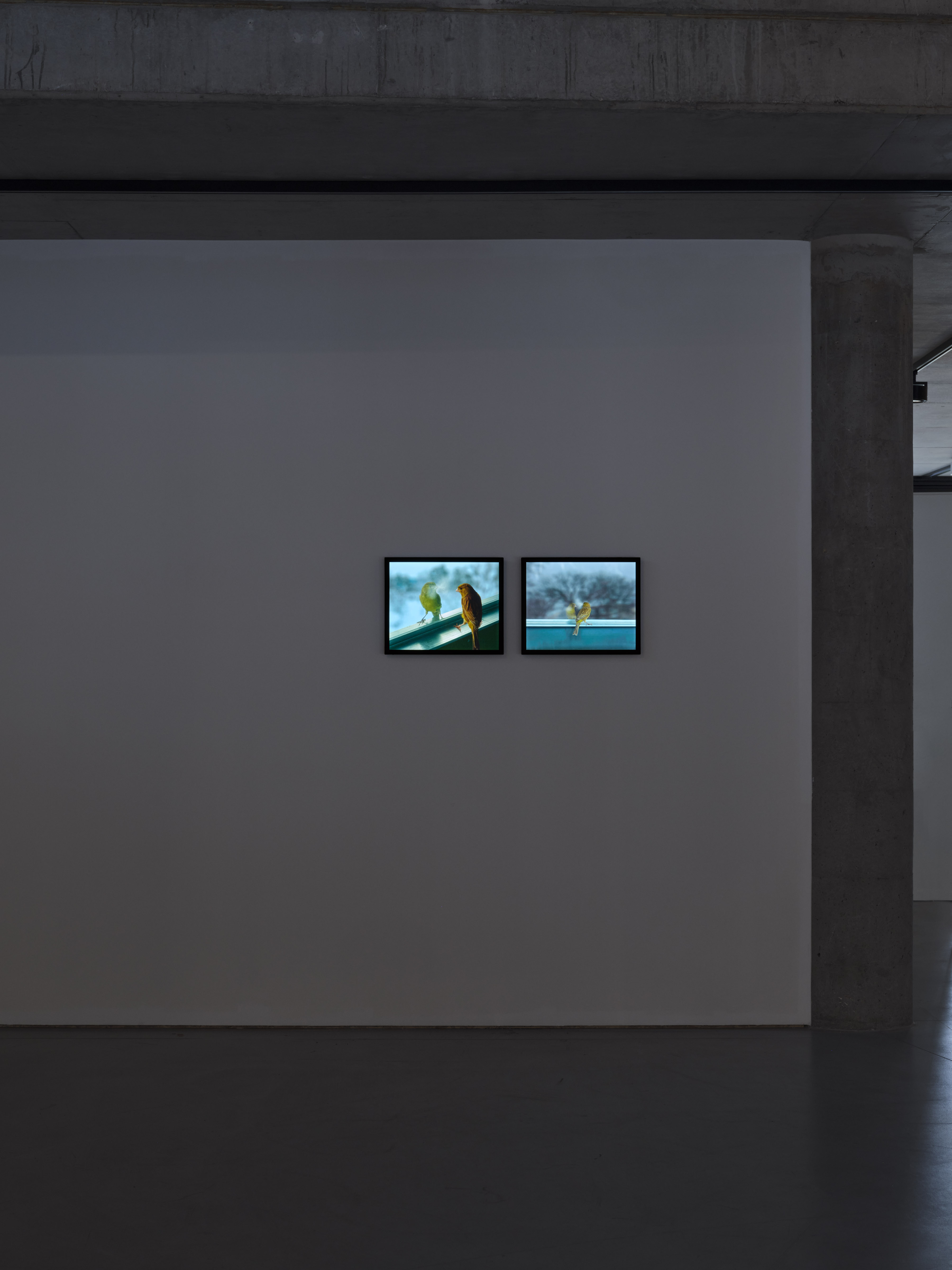 Konschthal Esch 2025, photo Christof Weber