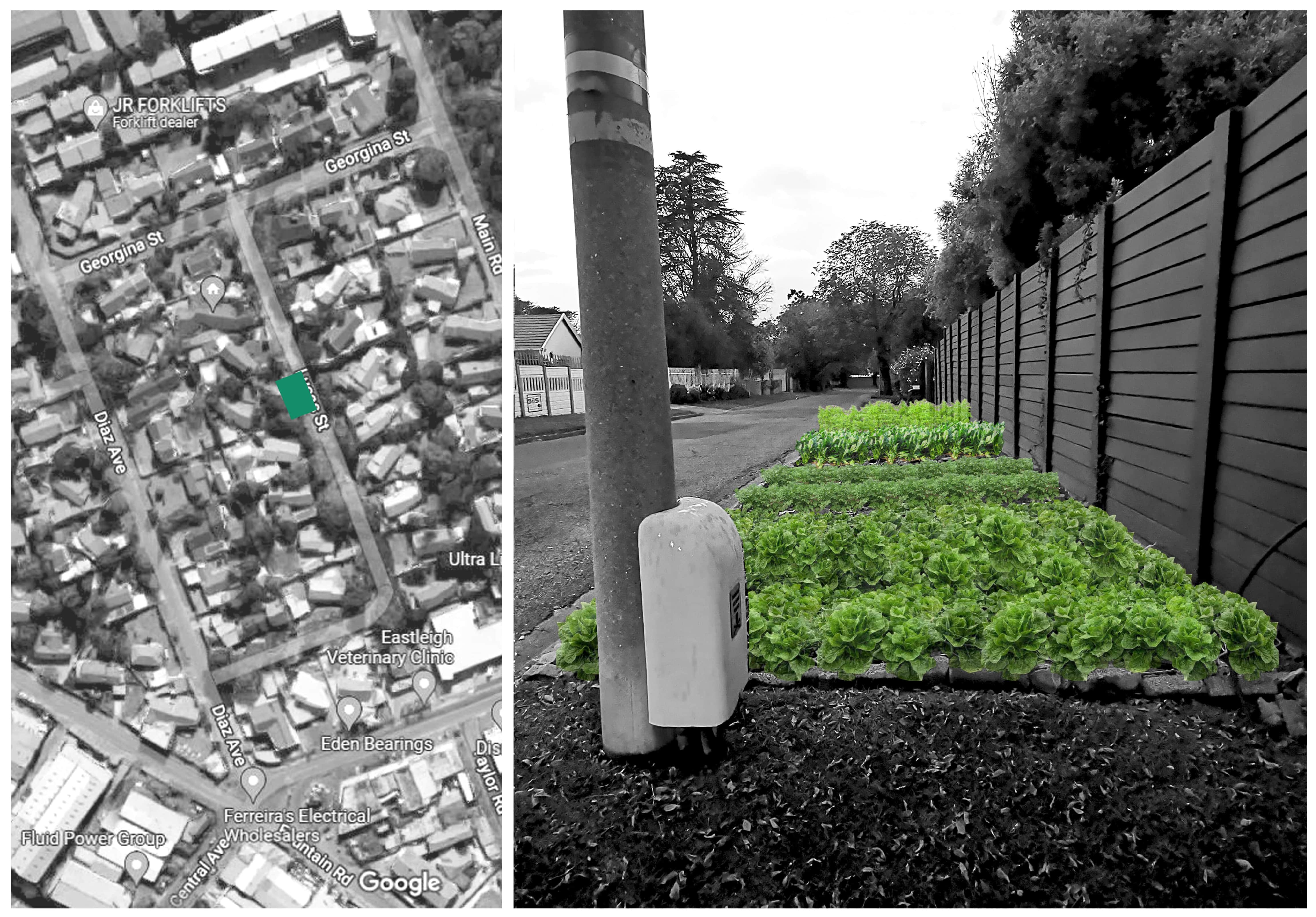 Vegetable Patch. Brandt, U. Unit 17. 2022