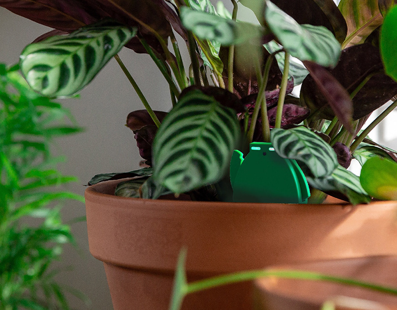 Plantlings: Your Friendly Plant Monitor