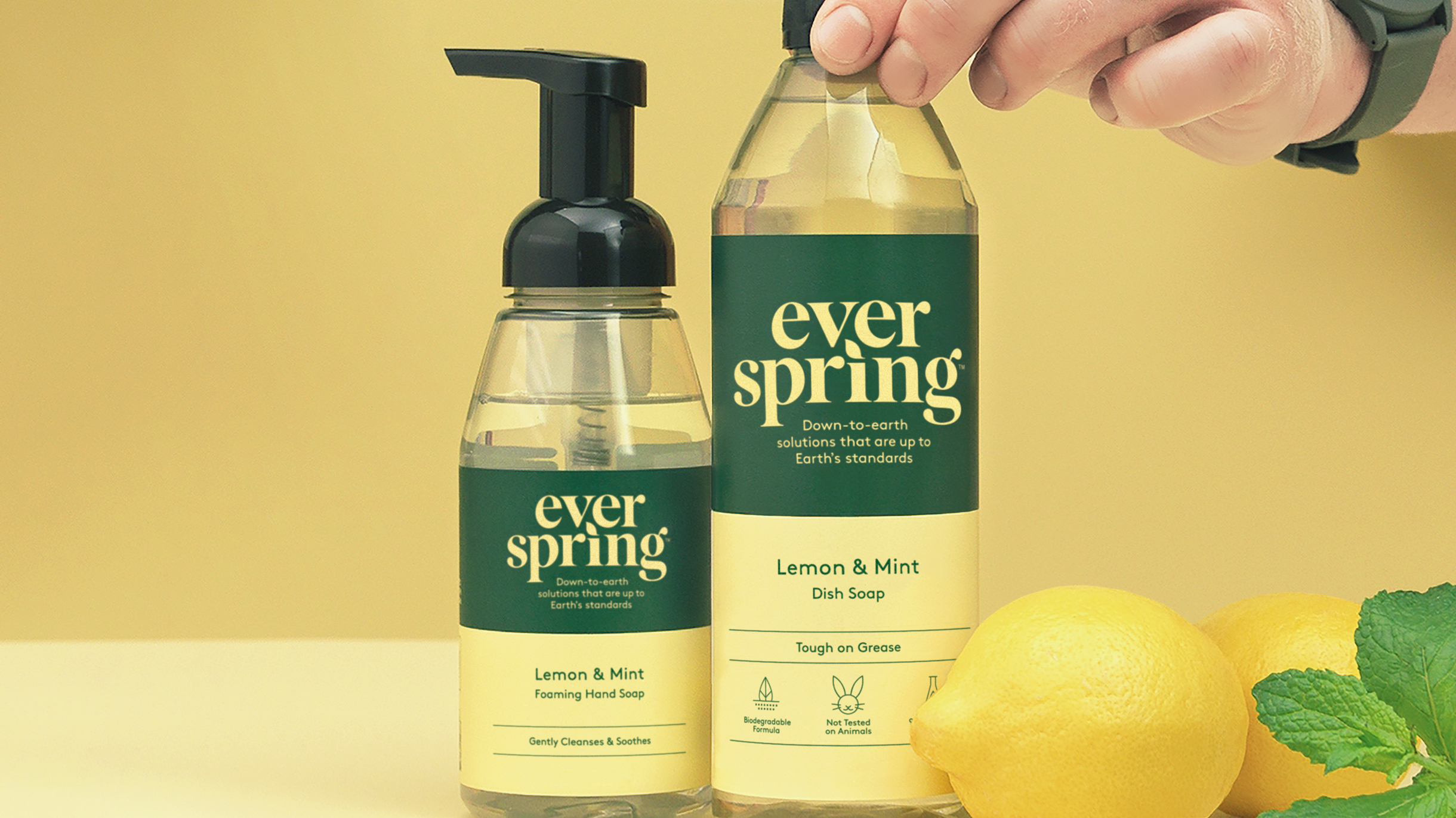 Target Everspring Household Cleaning Products