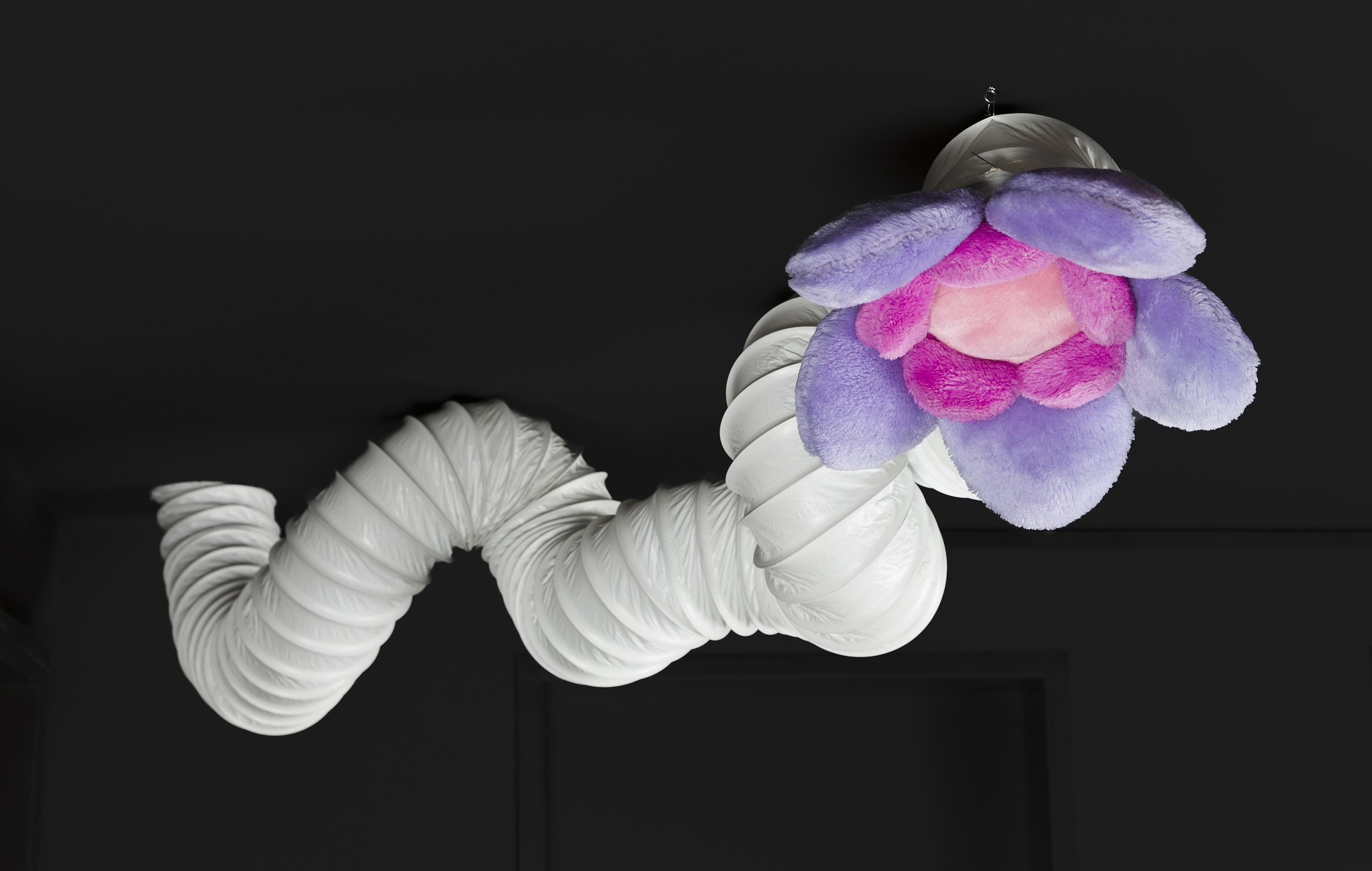 Messiahs Of Flower Power