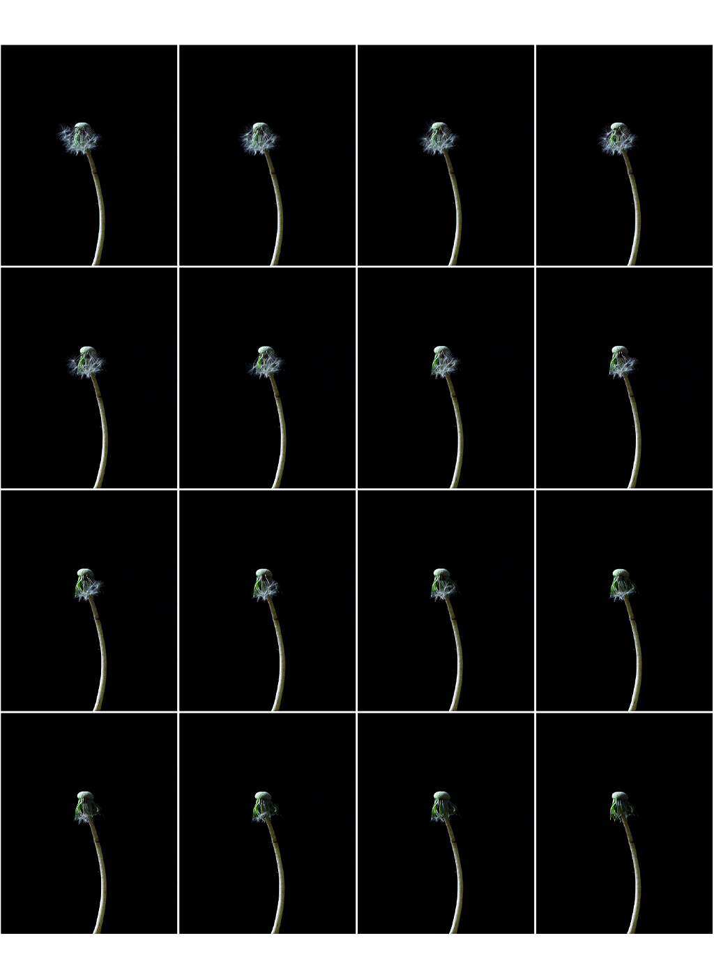 Change #145-160, 2022