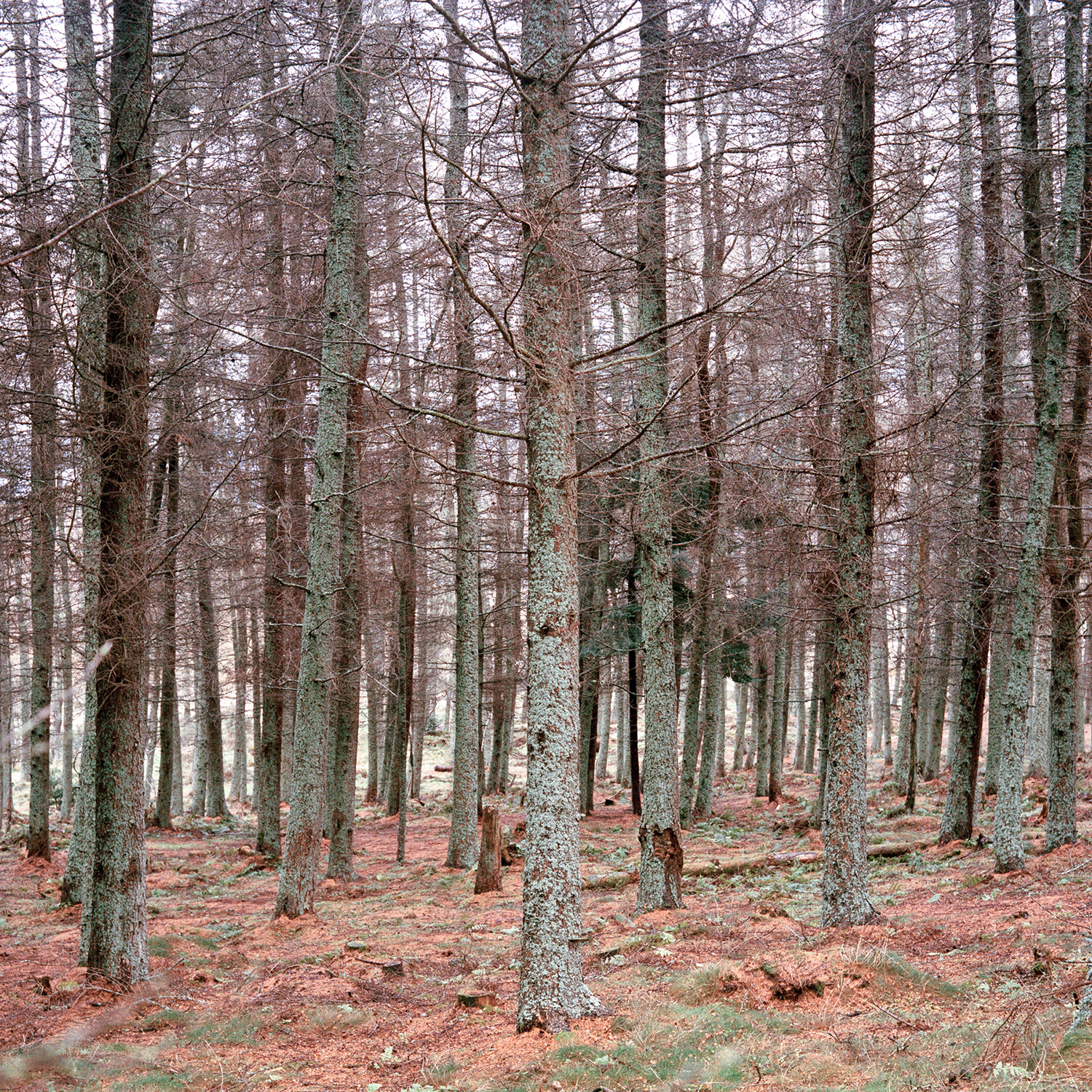 55°53’52”N 3°12’51”W