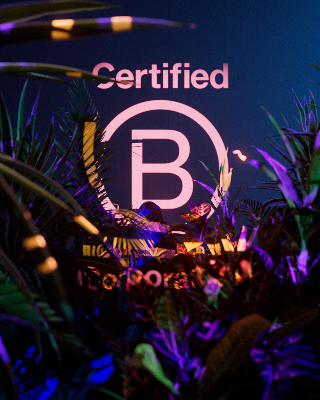 B-Corp x Random Studio