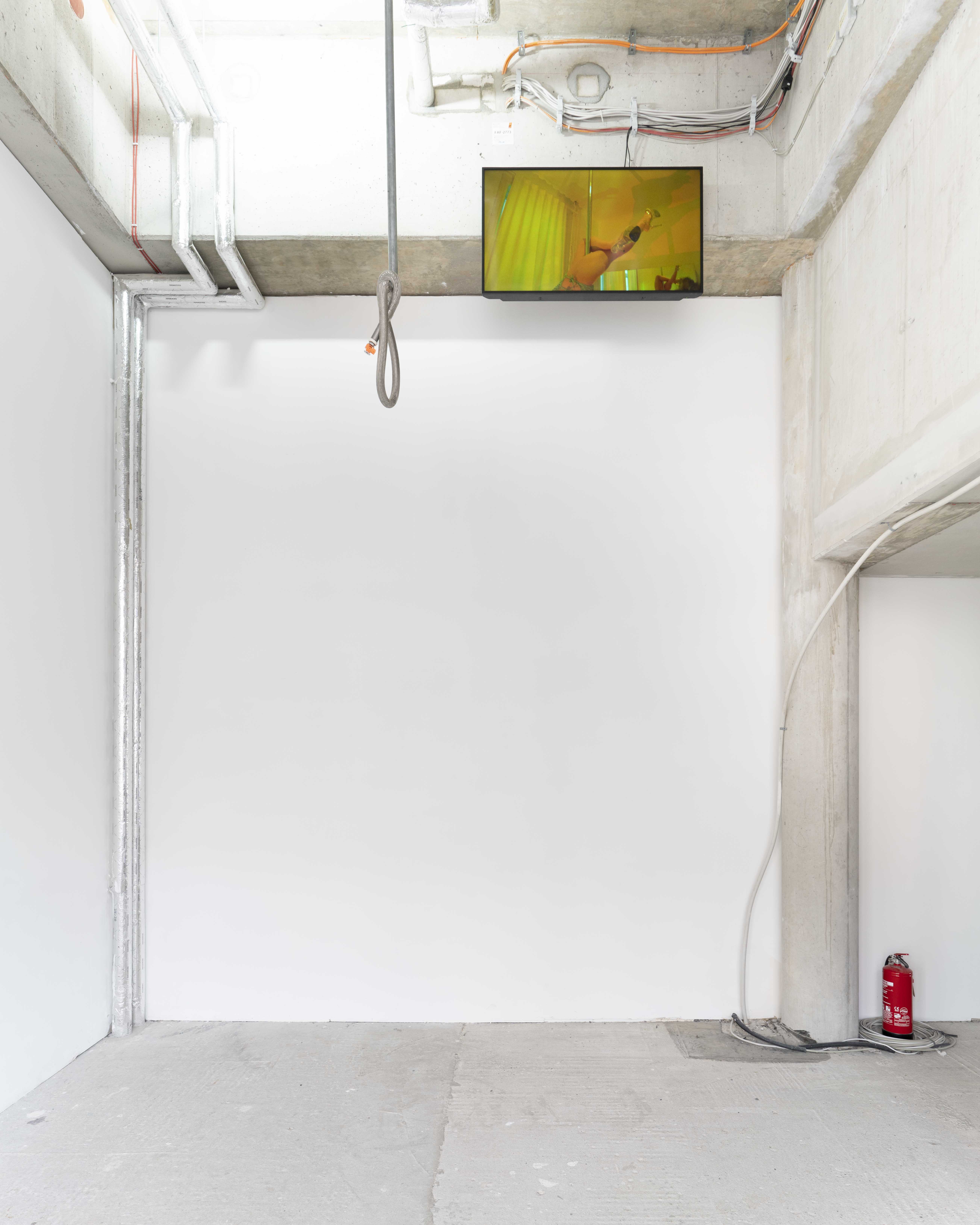 Celia Zehetgruber solo, tutti, 2023 2 - Kanal Video; 2:17 min, im Loop 2 - channel video, 2:17 min, in loop Performerin Performer: Frida Kohl Tonassitent*innen Sound assistance: Tristan Kold & Agnes Eeg Oloffson