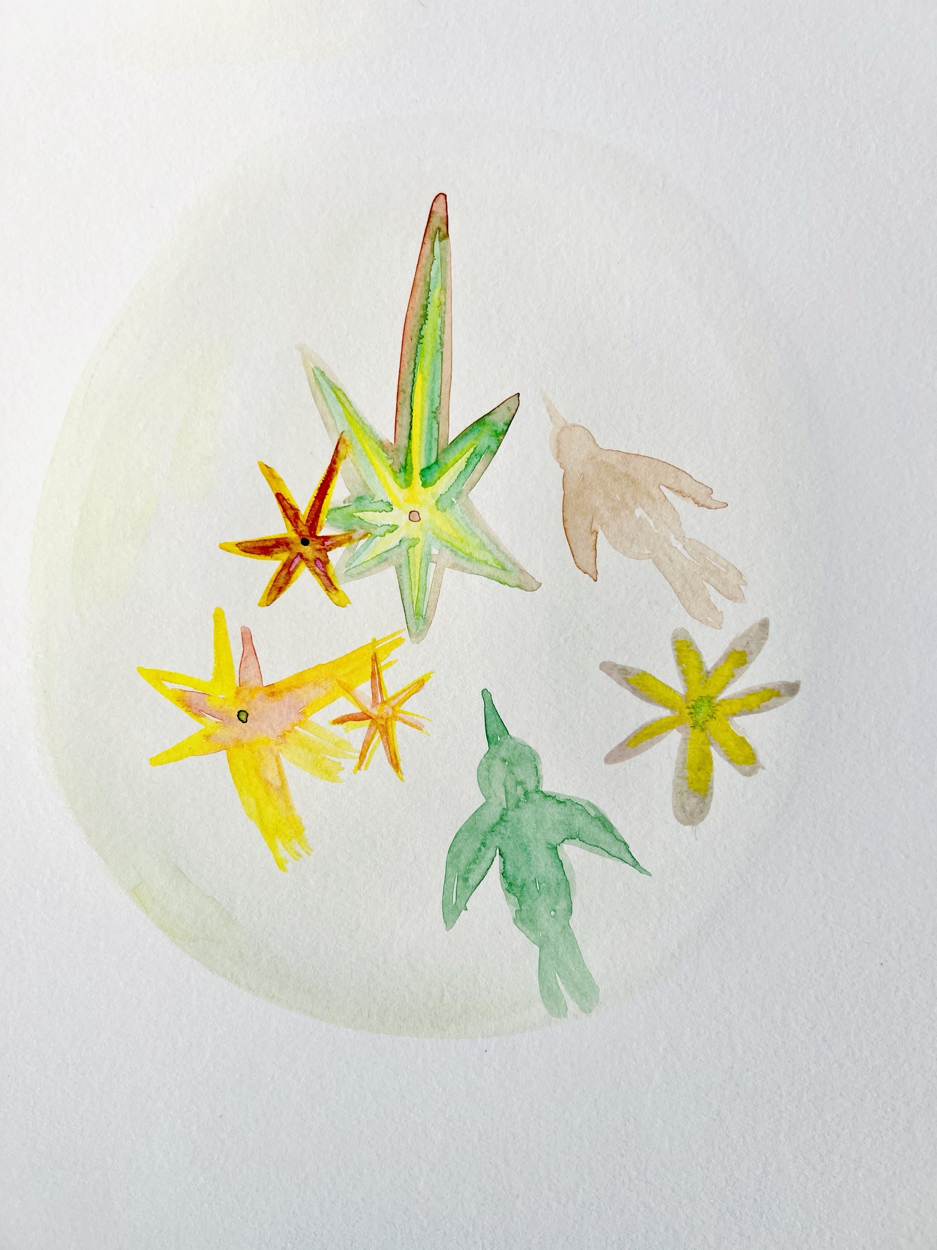Enrichment, colorful life, excitement
