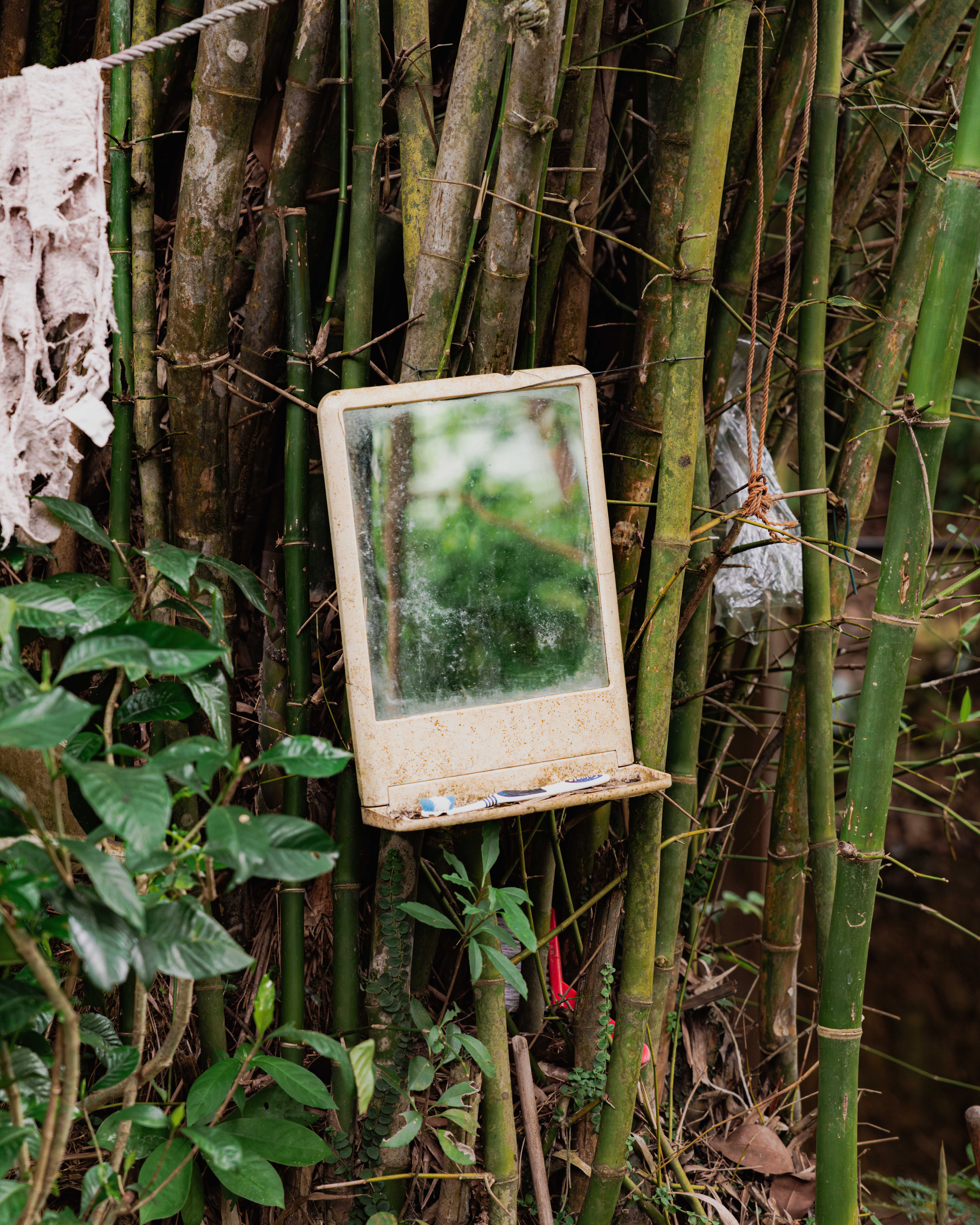 The Lung Fu Shan Herb Garden - FT Weekend