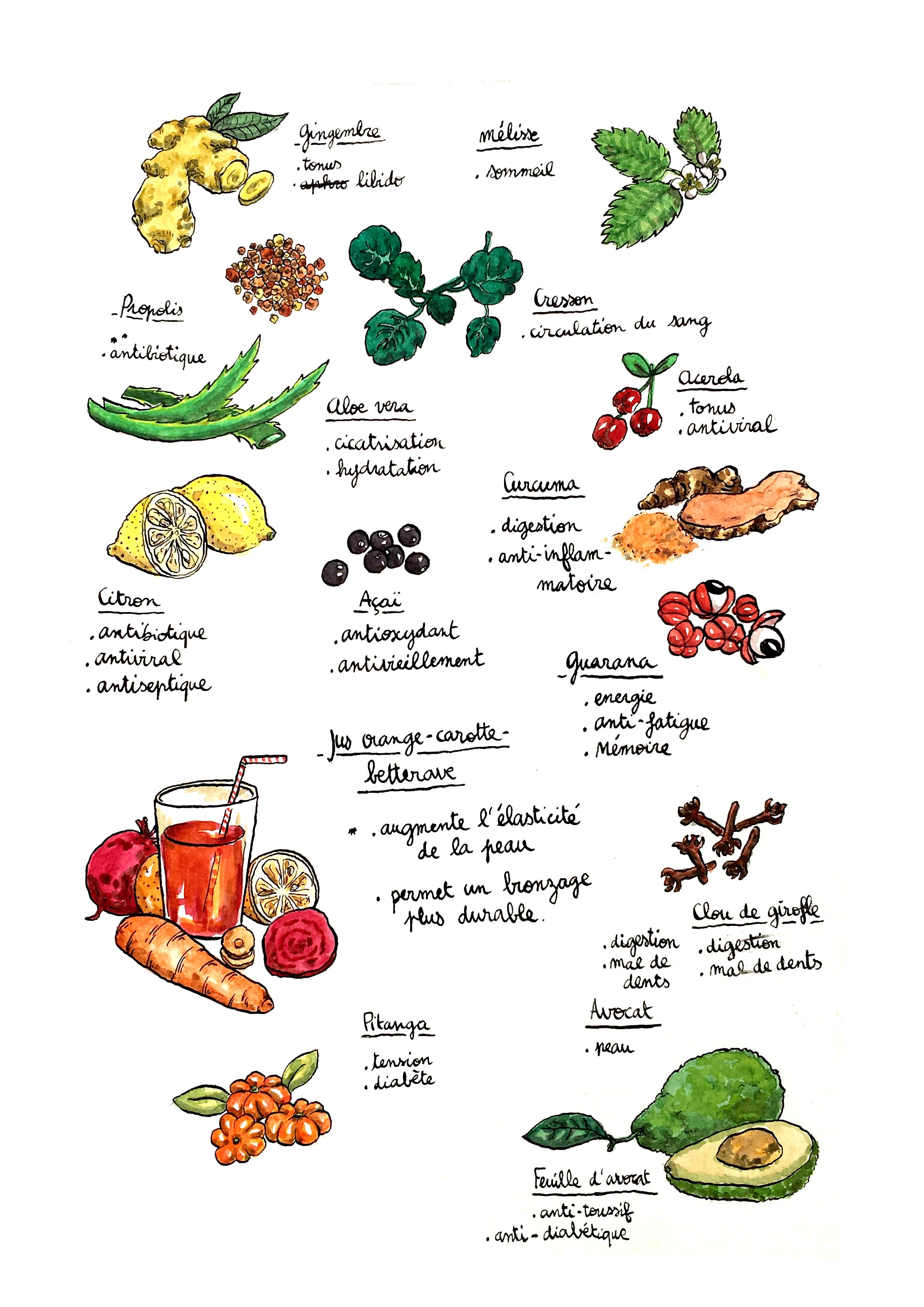 Extrait de carnet
