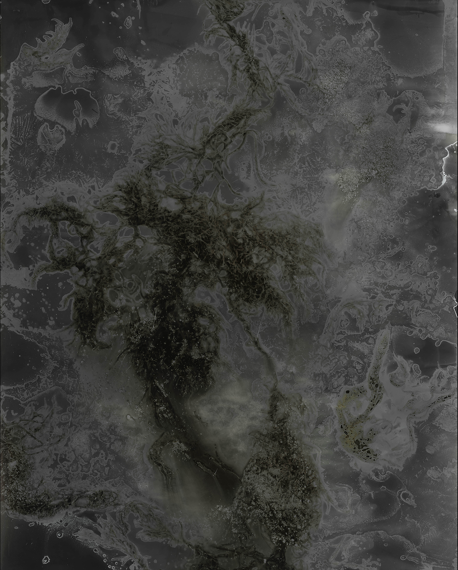 Decaying Seaweed, Frozen Salt, 2019, 20 inches x 16 inches, Silver Gelatin Print