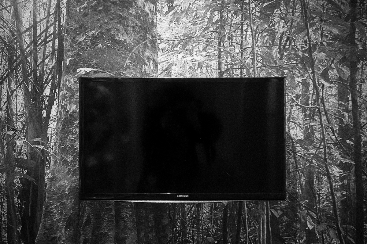 Harvard Museum of Science, Cambridge, 1/2020