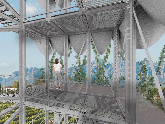 Use of platforms to experience the wine-making processes by the users