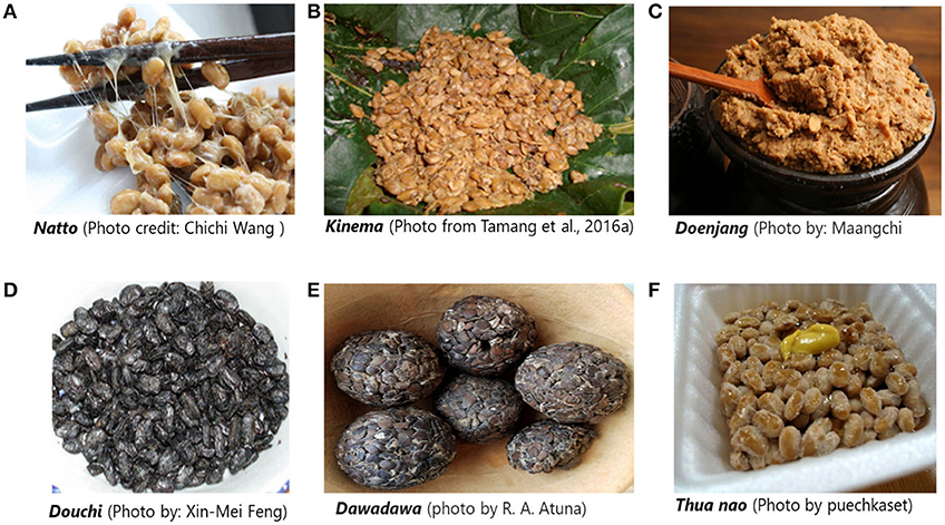 Ghana- Traditional Alkaline Fermented Foods