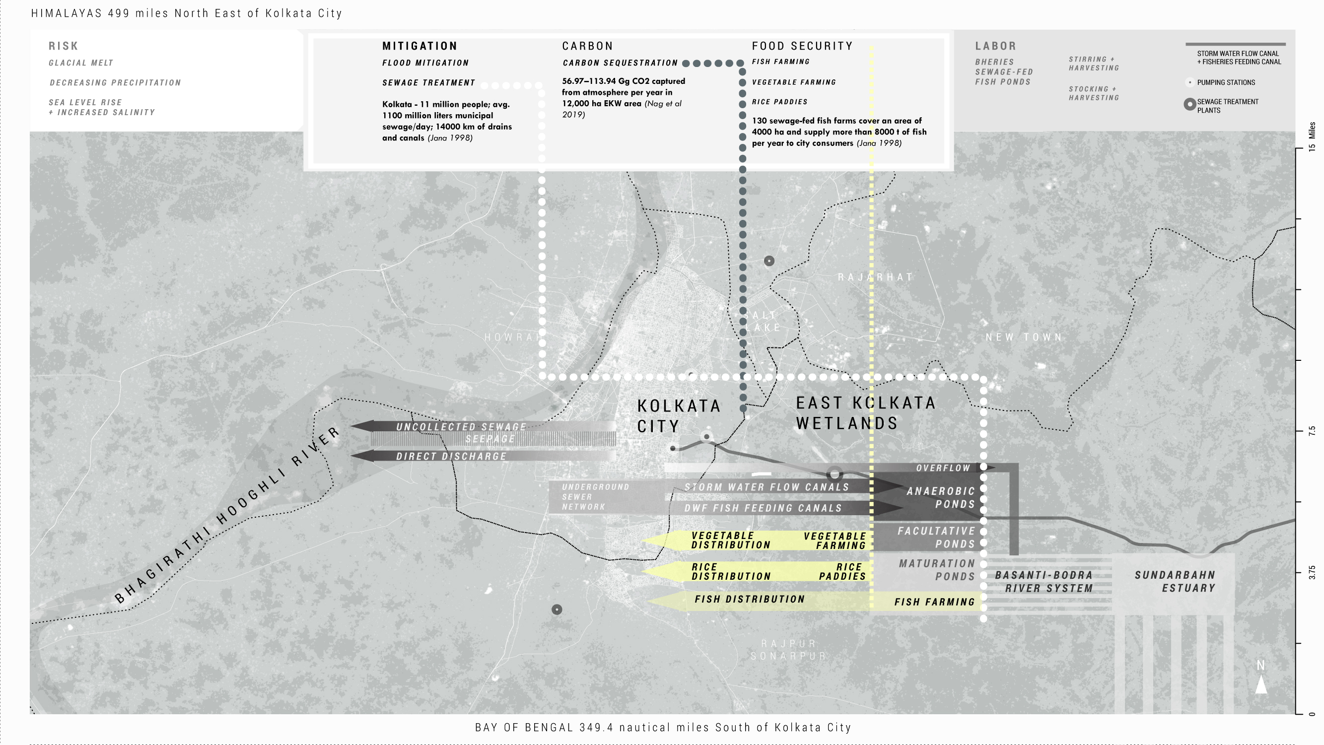Fig. 21. These threats to the Wetlands place the communities they support further at risk by limiting or eliminating the Wetlands’ capacity to provide flood mitigation, sewage treatment, carbon sequestration, and food security. Farming of vegetables, fish, and rice produced in the East Kolkata Wetlands as a major source of food for the city of Kolkata.
