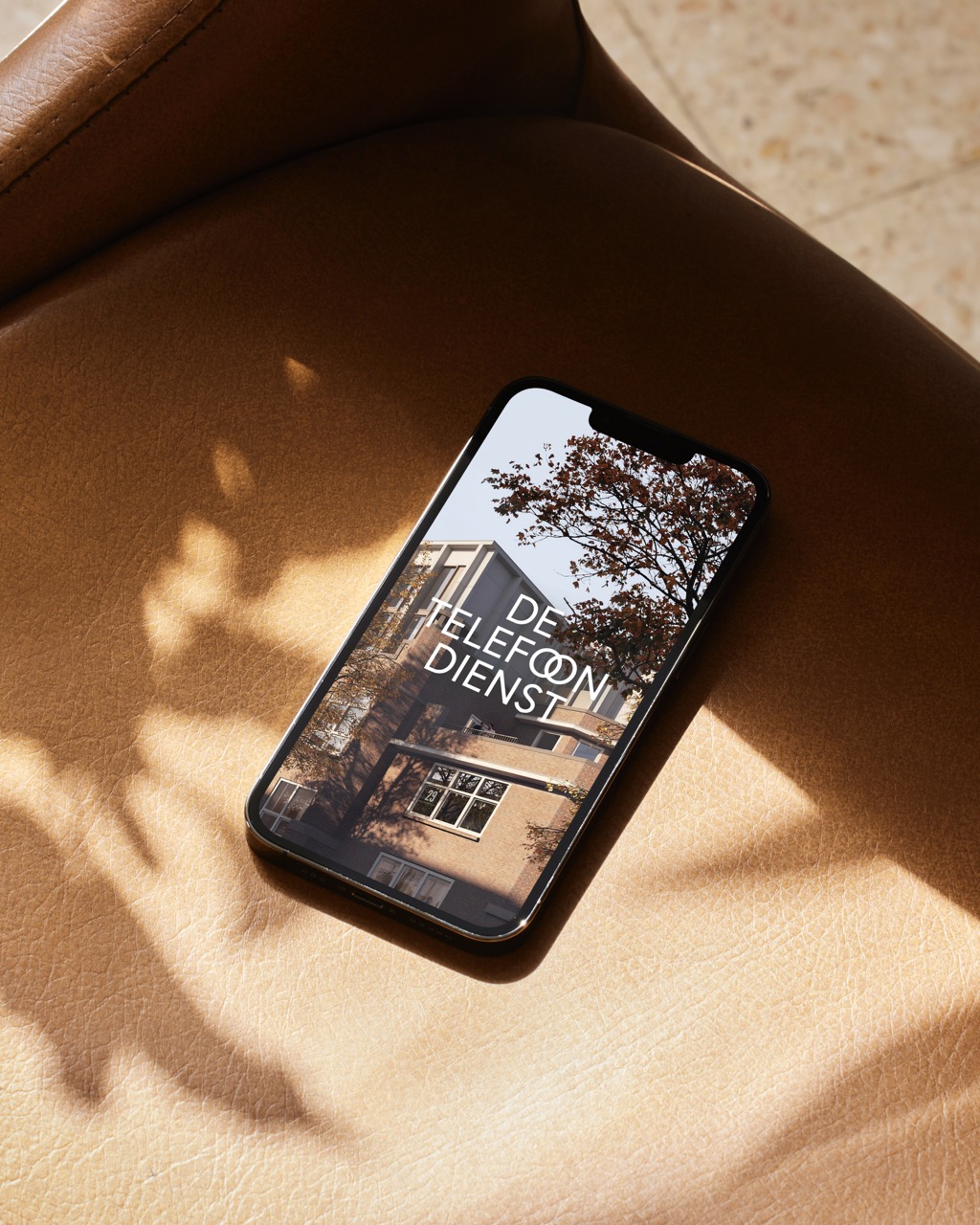 Campagne ∙ Logo ∙ Webdesign