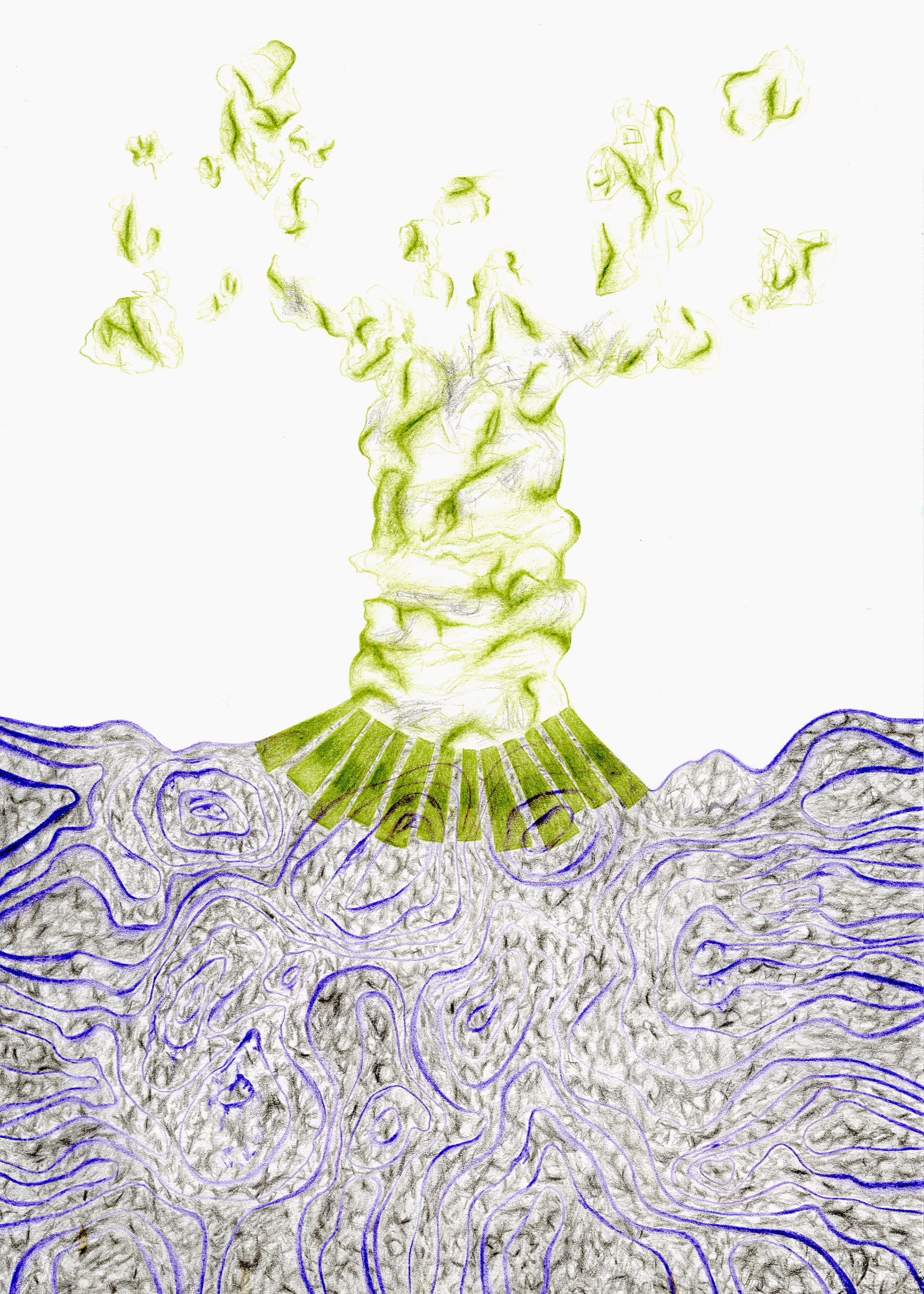 Cluster / Flow, coloured pencil on paper, 30 x 42cm, 2021