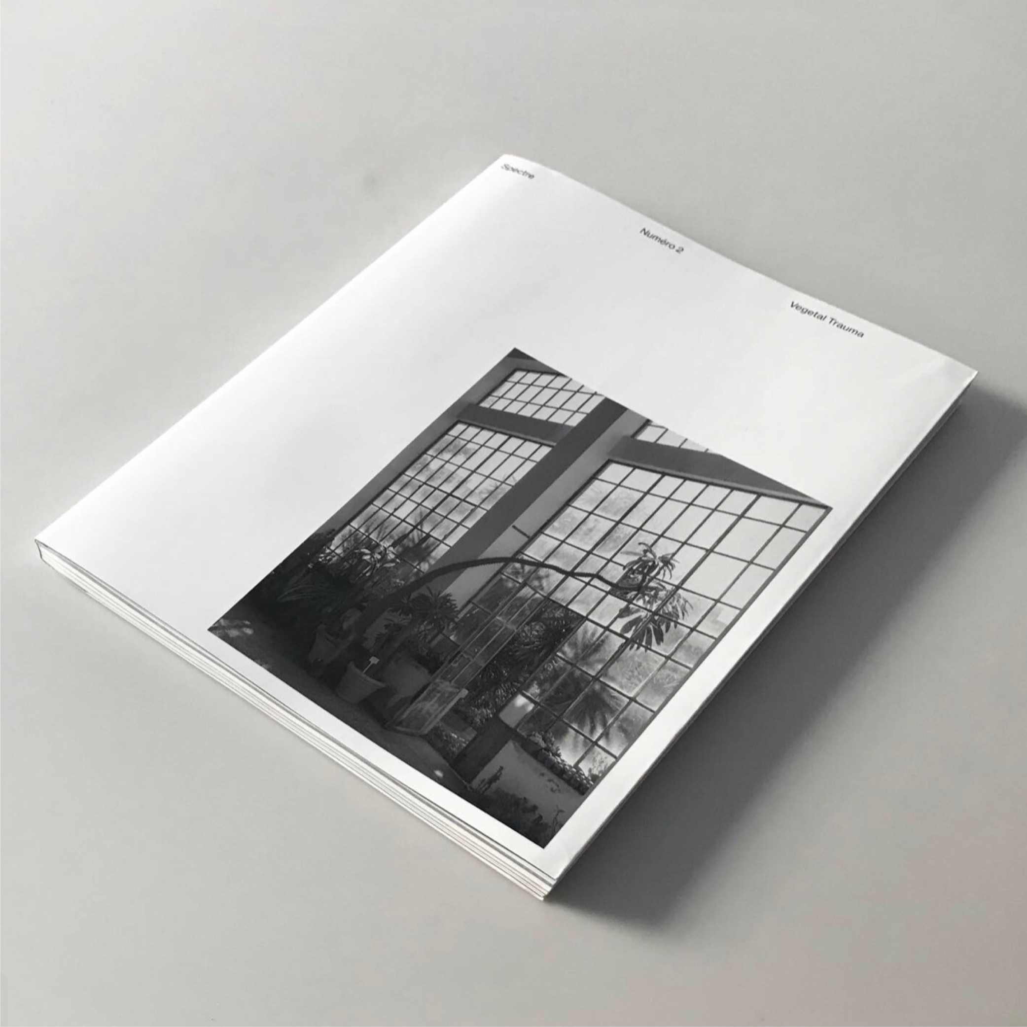 Lignes // – Article  • Spectre n° 02 – Vegetal Trauma • Edition : C.laudia Mion • Direction : M. Gervais de Lafond • 2019 