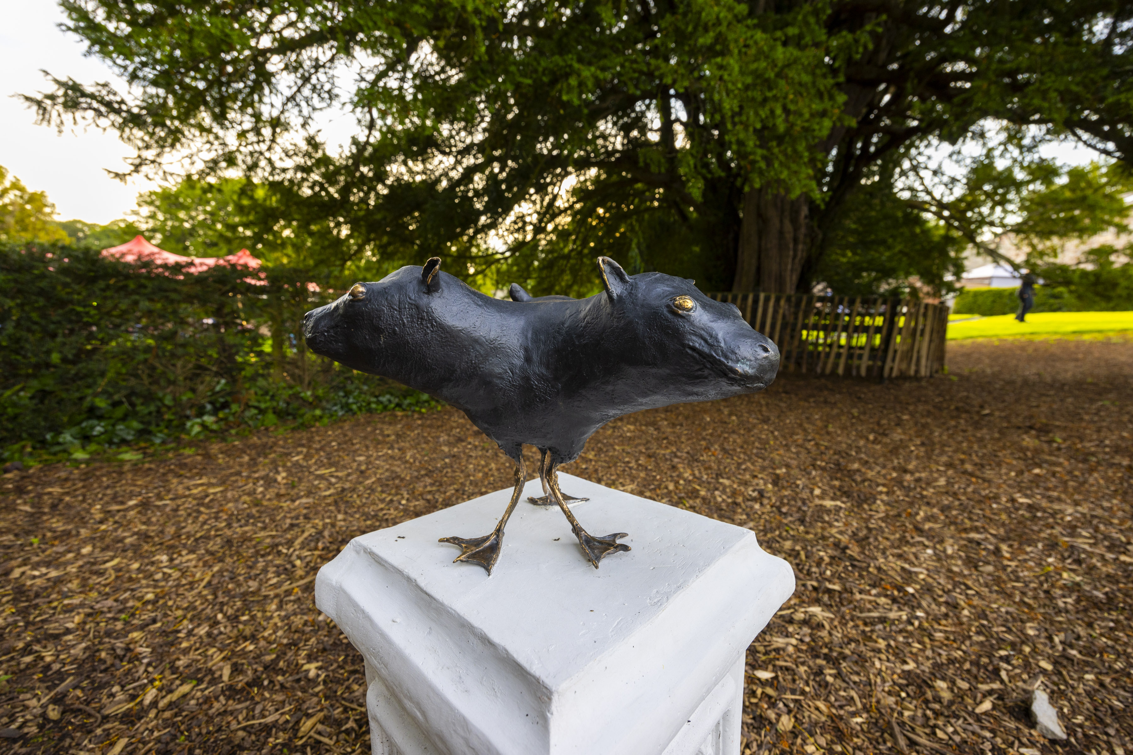 Softly Spoken Cerberus | Ise, Battle of the Boyne Visitor Centre, Oldbridge House, Meath