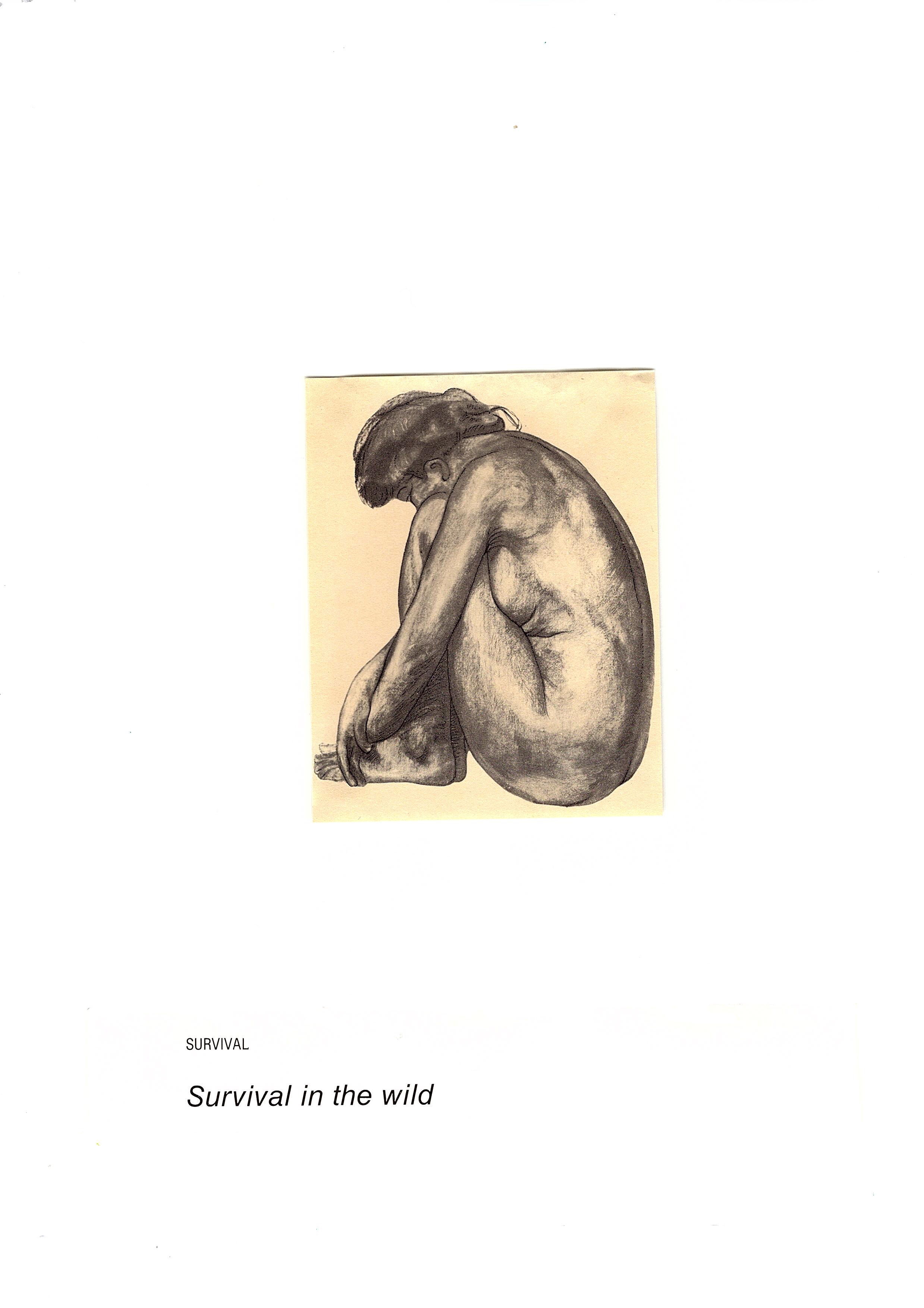 Survival in the Wild, 2023, Collage on Paper, 21.7 X 28 cm
