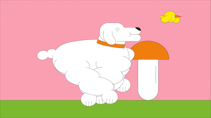 A dog, a bird and mushrooms