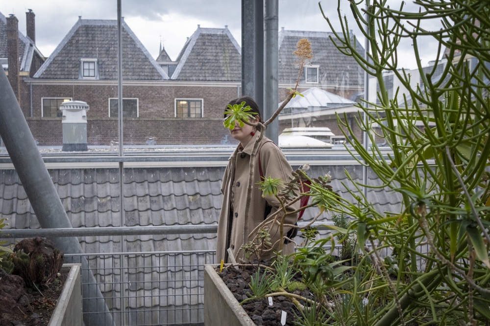 Campaign MuseumKaart / KesselsKramer