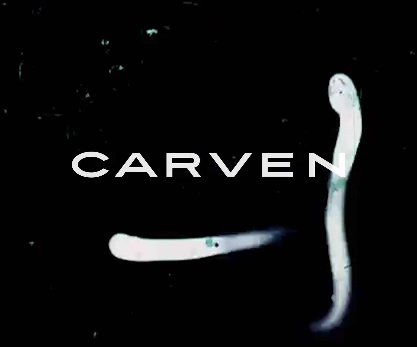 carven