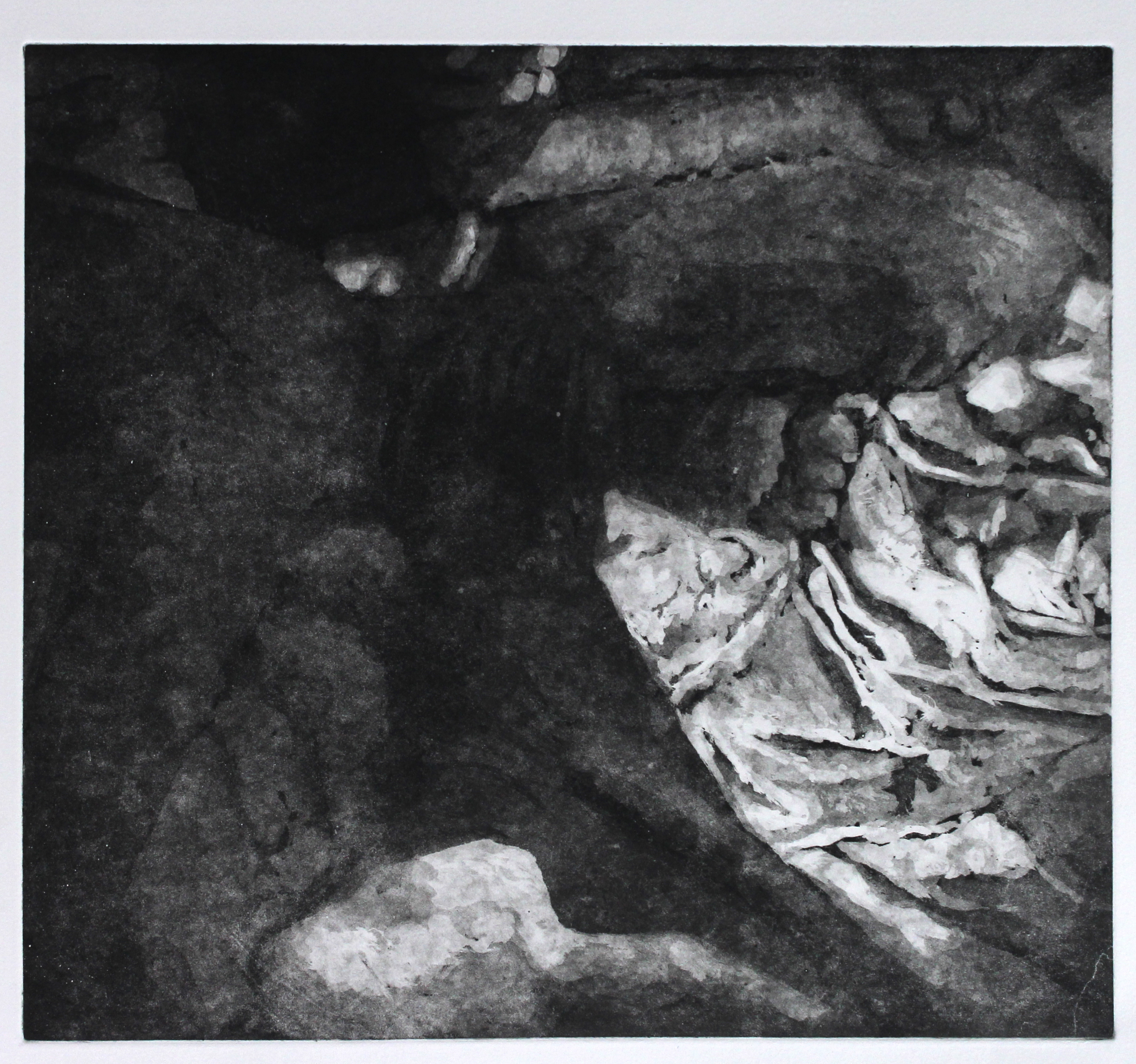 Sleeping in the strangest places, Etchings on Somerset, 43cm x 47cm, 2012