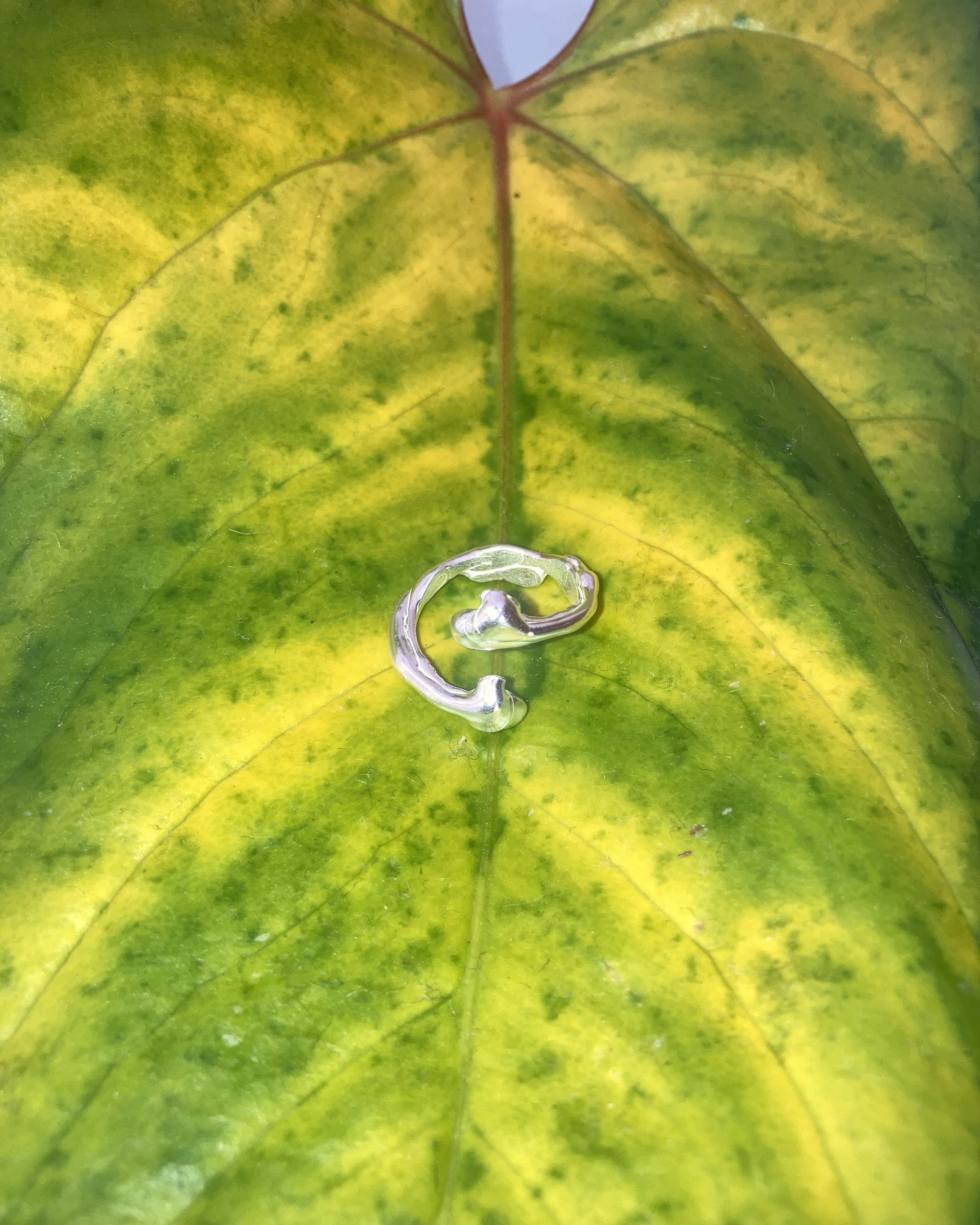 ハグのかたち - MAY 15, 2024