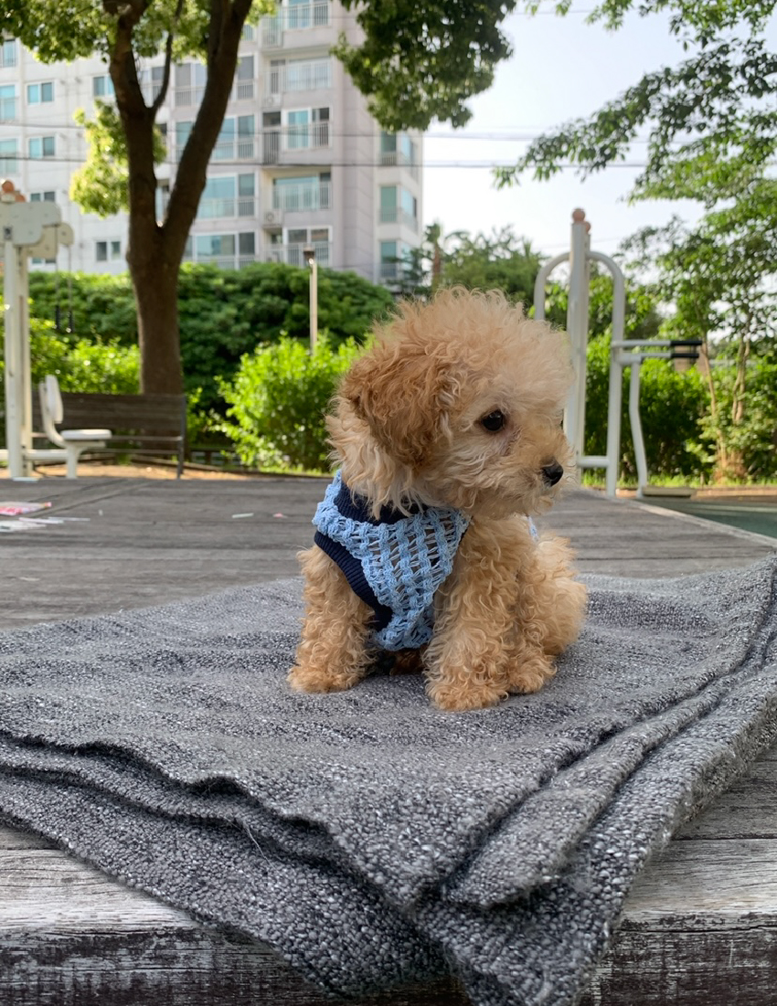 소풀이 어릴적 사진 ©부지현