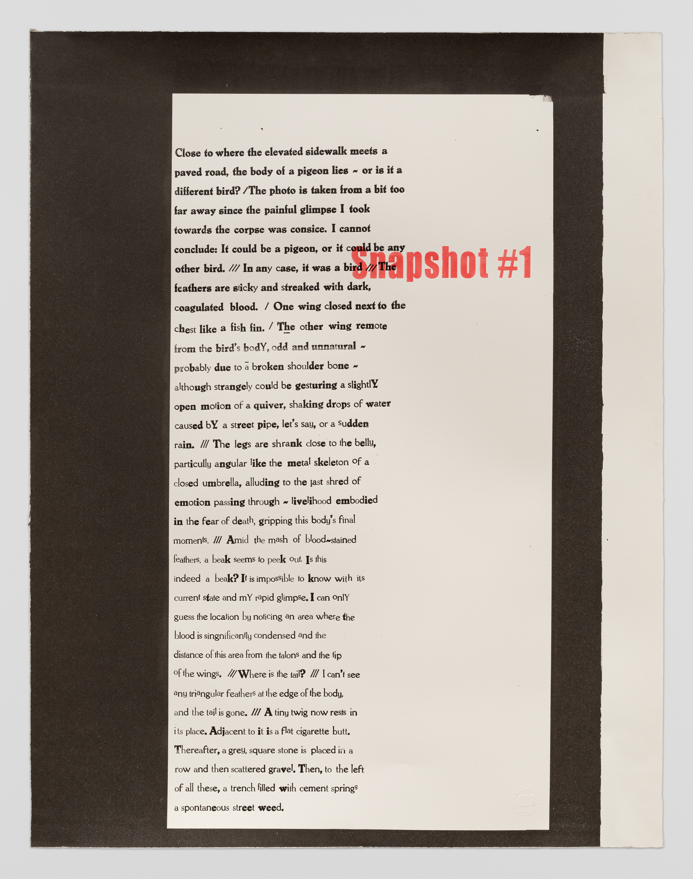 Dead Animals: Snapshots #1, 2024 Silkscreen and relief print on Magnani paper 81 x 67 cm. Printed at Masereel Centre (Documentation: Fabrice Schneider)