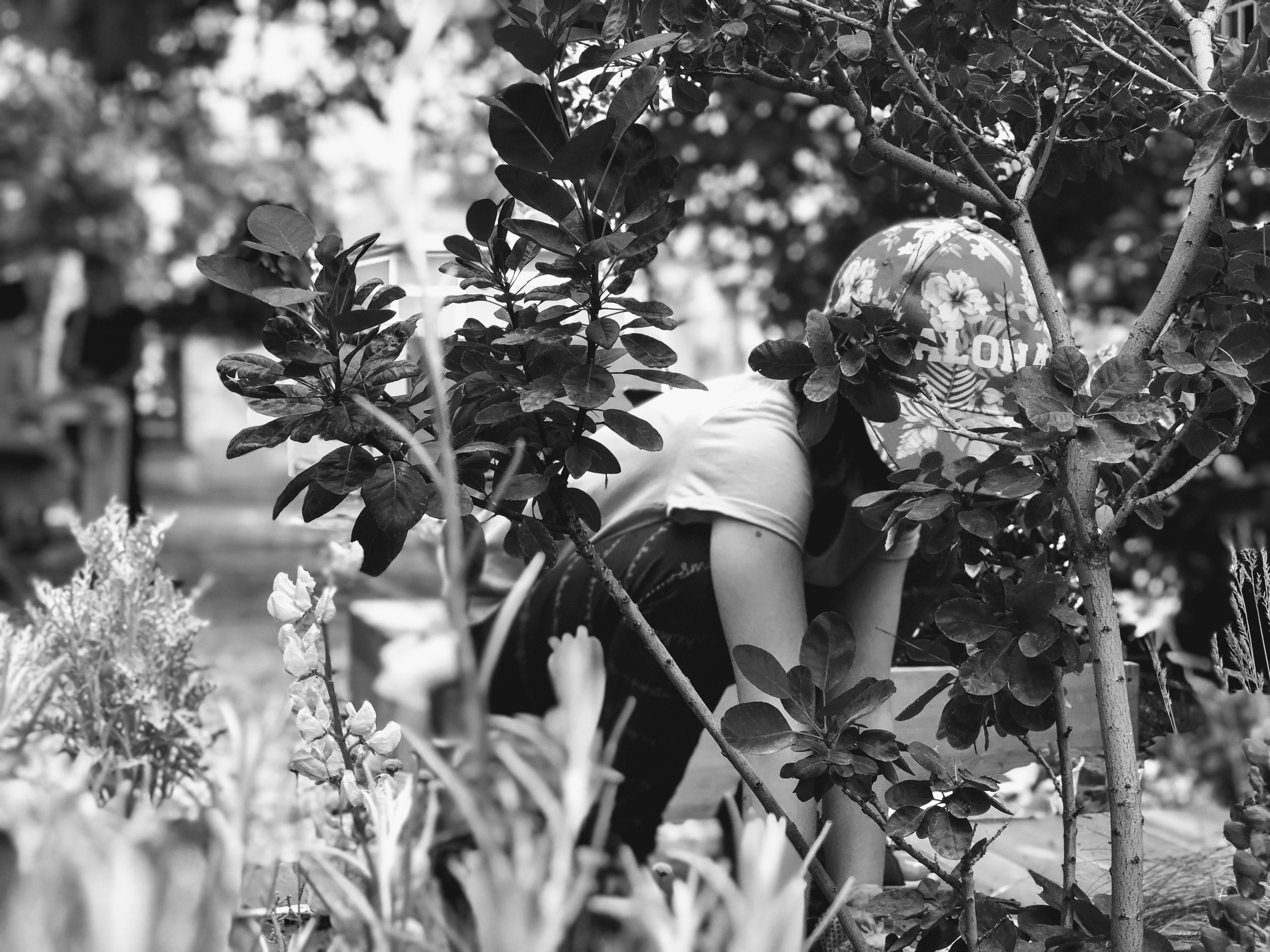 Checkpoint Charly, Bologna, 15-6-18