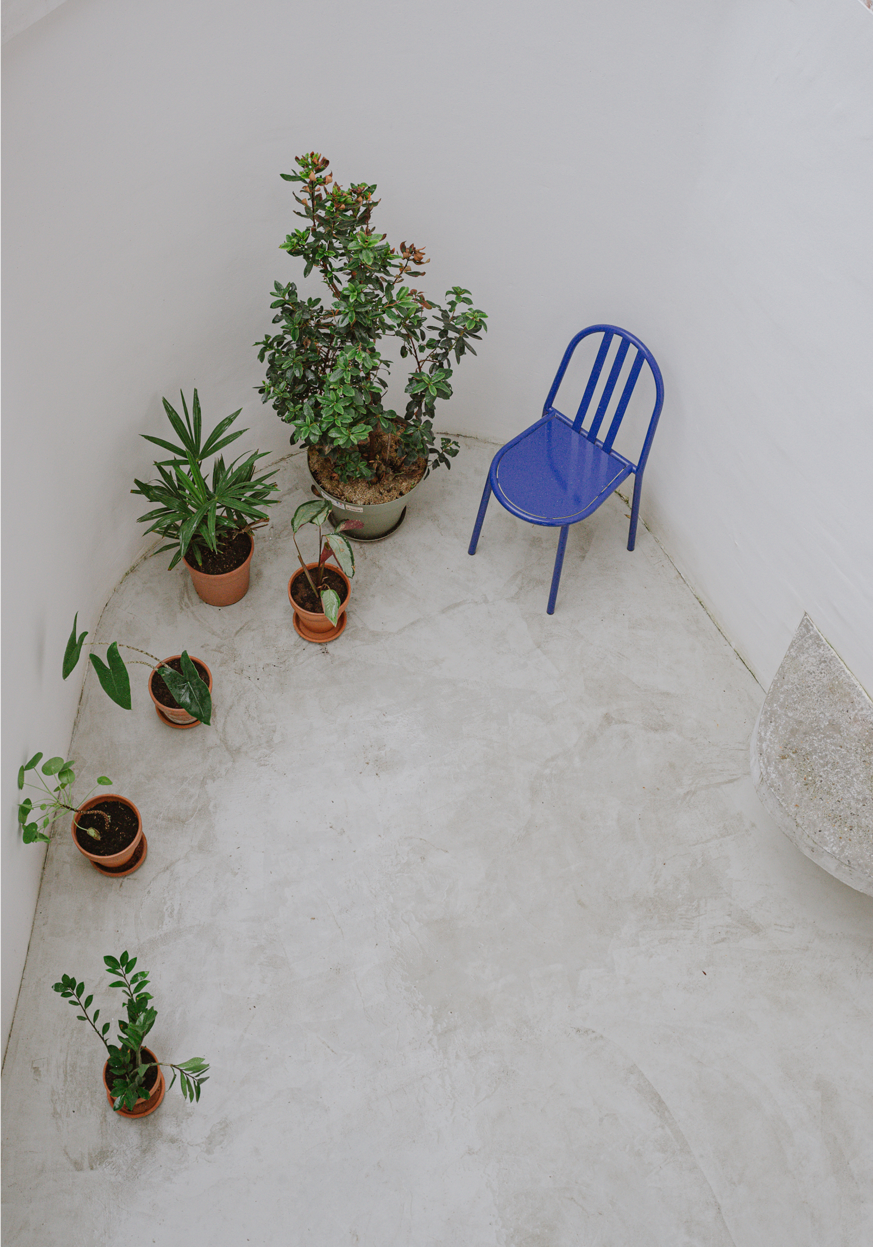 Maison et patio • Mt St Aignan • Photo: Simon Genillier • 2022