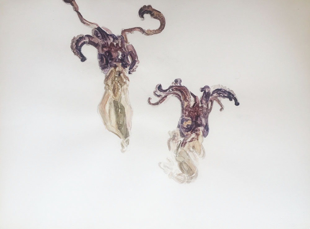 Flore, aquarelle, 56 x 76 cm, 2017