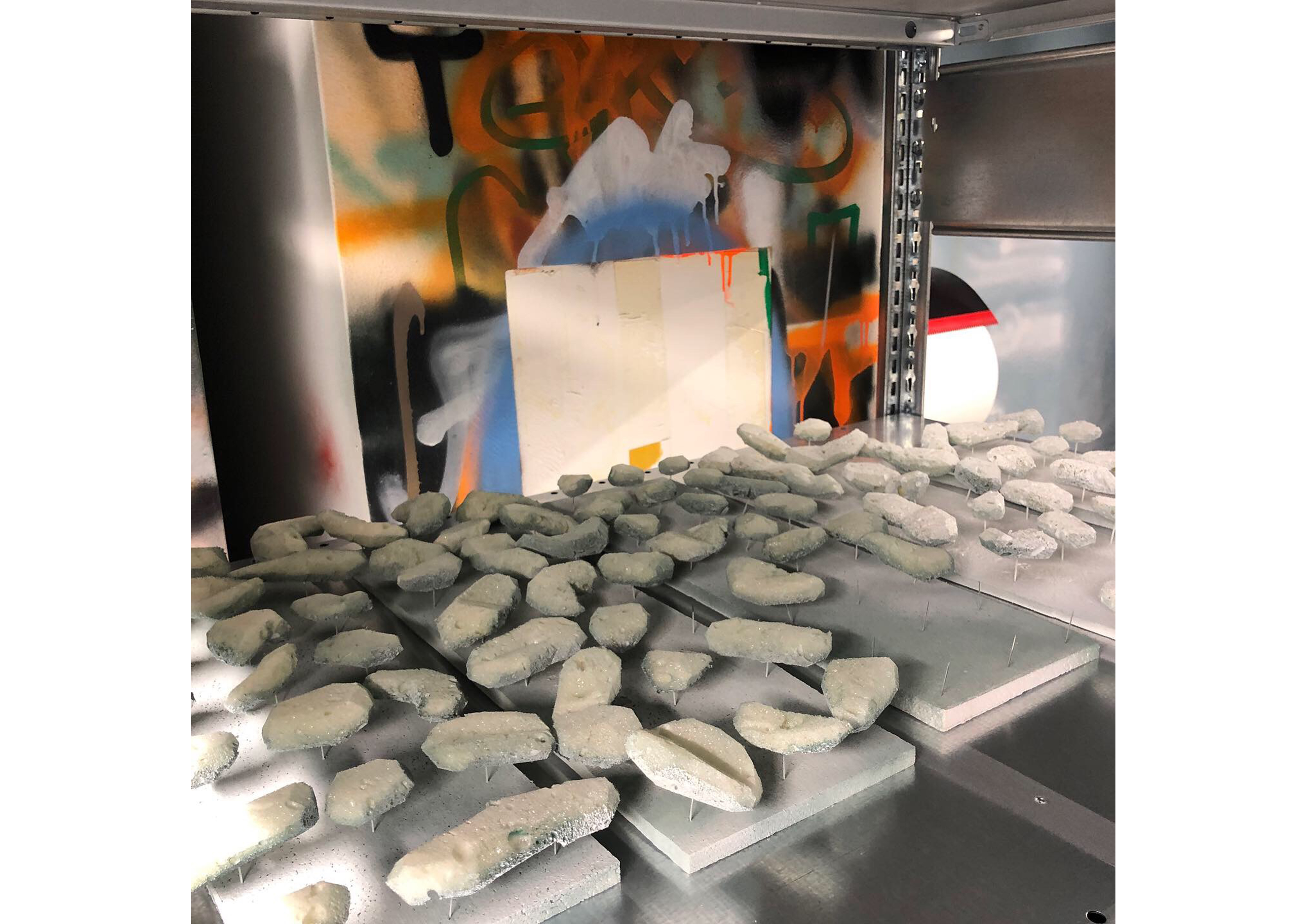 bygning i en furuskog. 2019