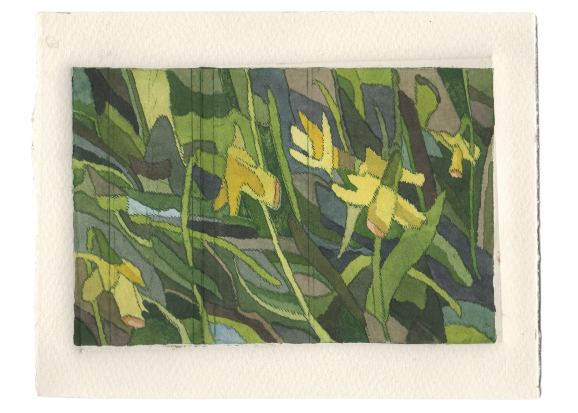 Daffodils, drypoint etching with watercolour on paper