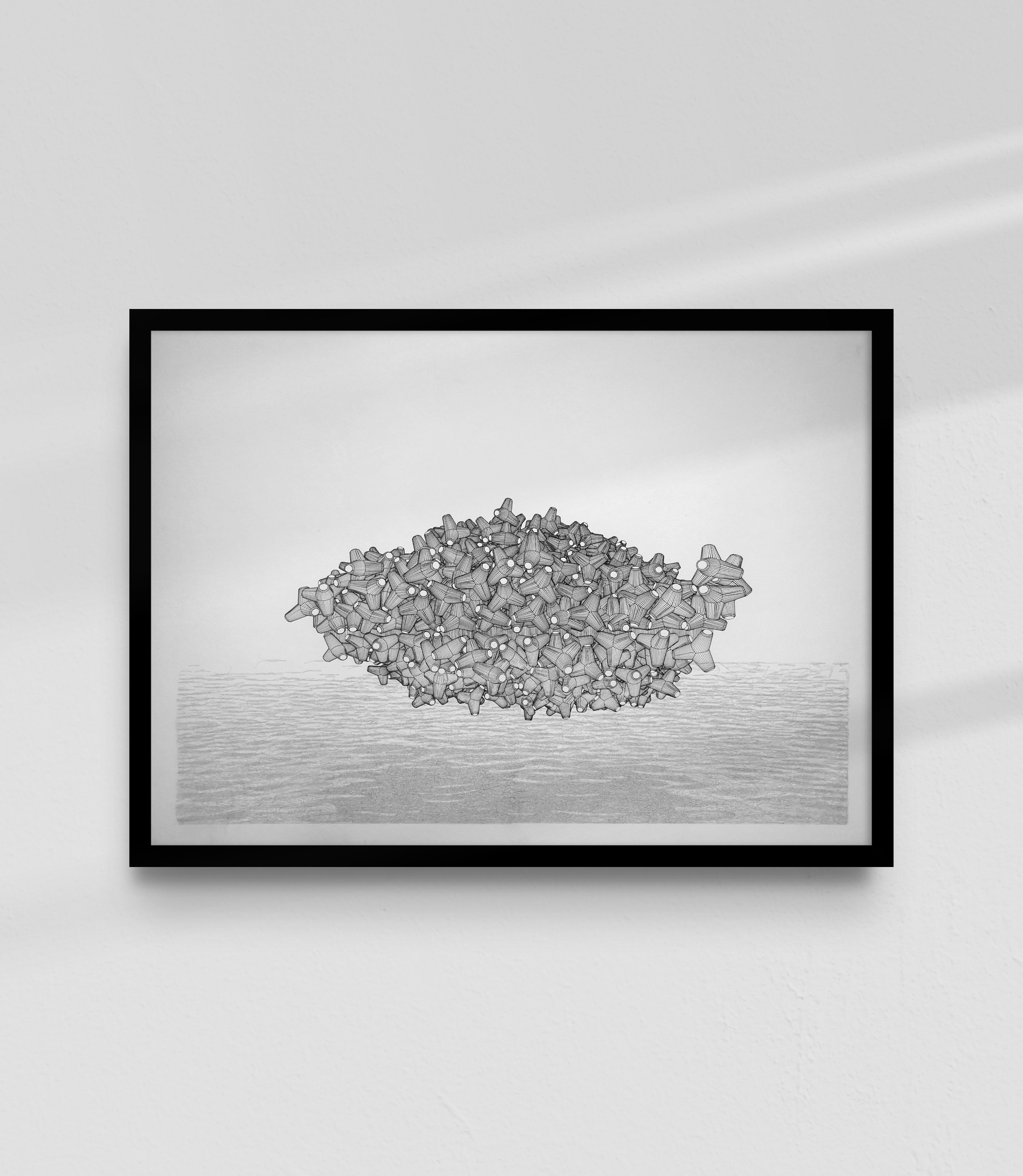 Tetrapodes cornucopiens - 65x50cm encre et graphite